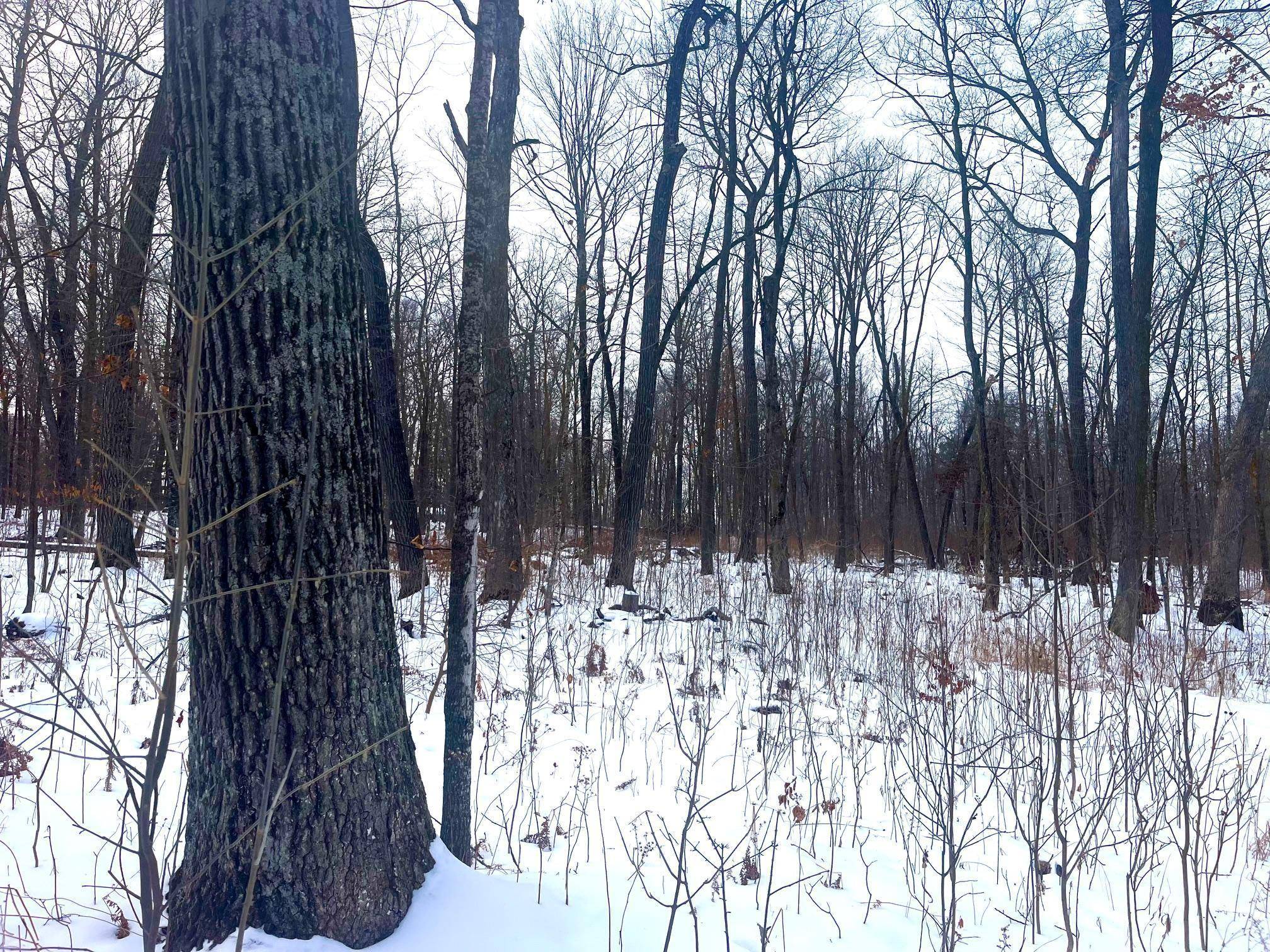 Lincoln Twp, WI 54001,8xx 68th AVE
