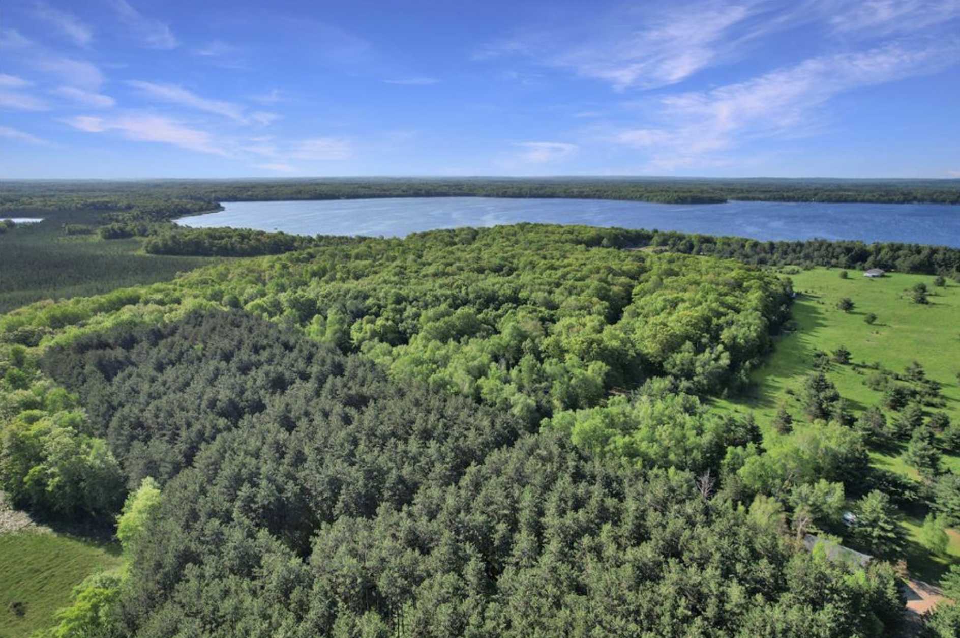 Sand Lake Twp, WI 54893,xxx N Basswood Dr (502)