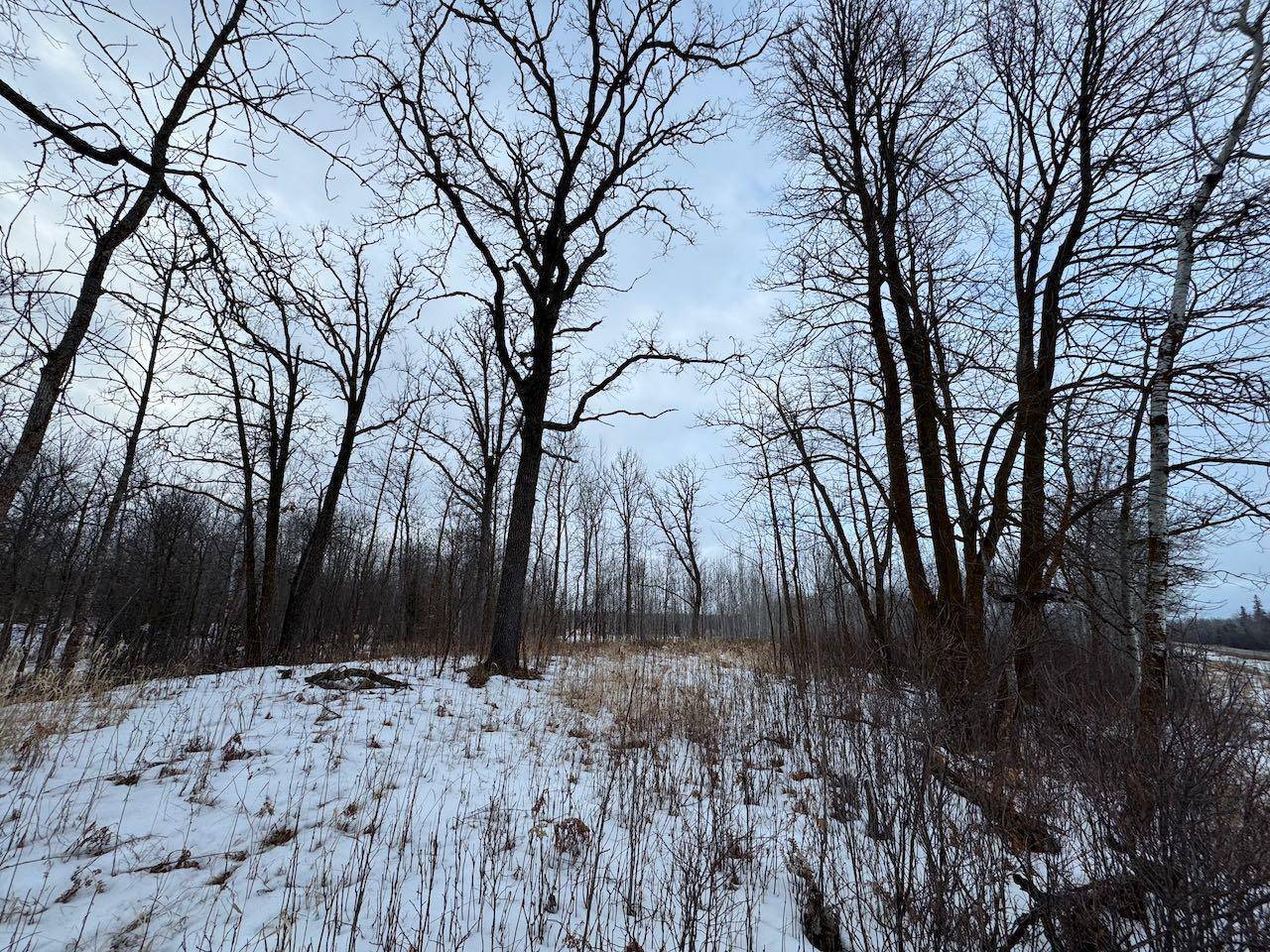 Hines Twp, MN 56630,15a Hines Road NE