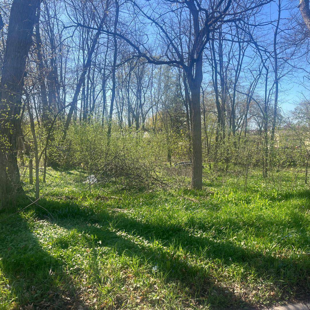 Saint Paul Park, MN 55071,XXXX 1st ST
