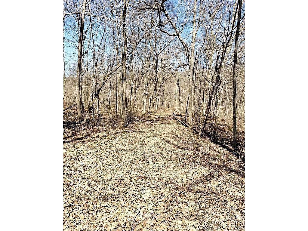 Pleasant Grove Twp, MN 55976,xxxx County Road 1 SE