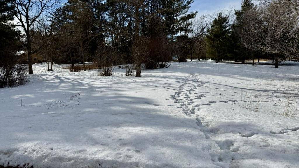 Park Rapids, MN 56470,TBD1 Central AVE S