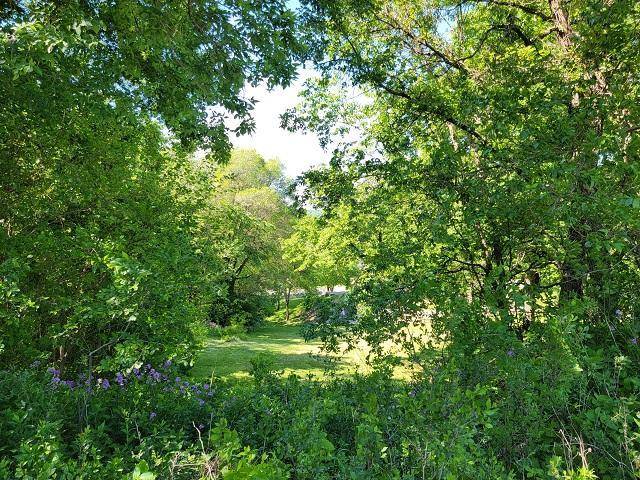 Belle Plaine, MN 56011,XXX W Church