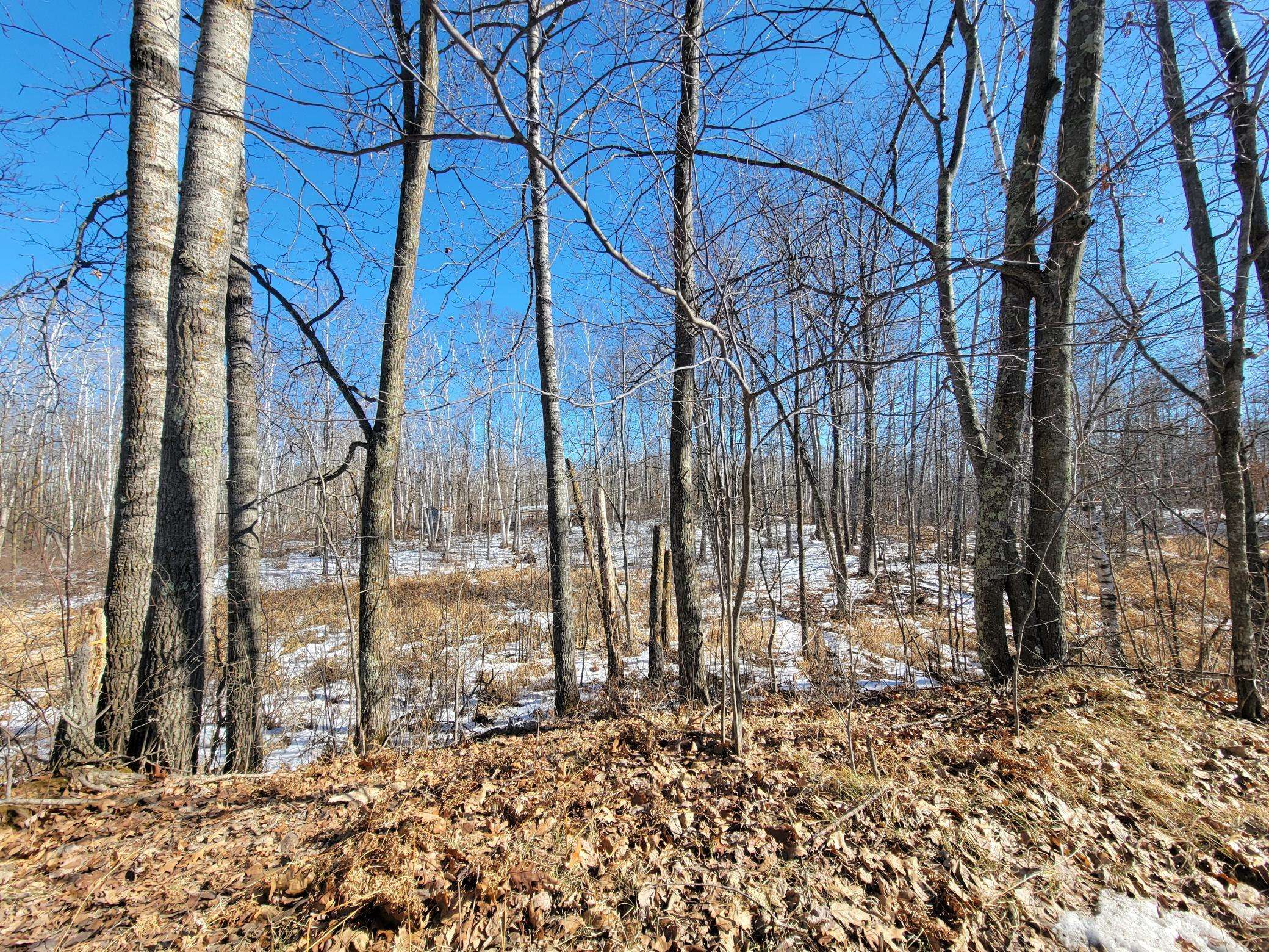Meadowbrook Twp, MN 56466,XXXX Meadow Lake RD SW