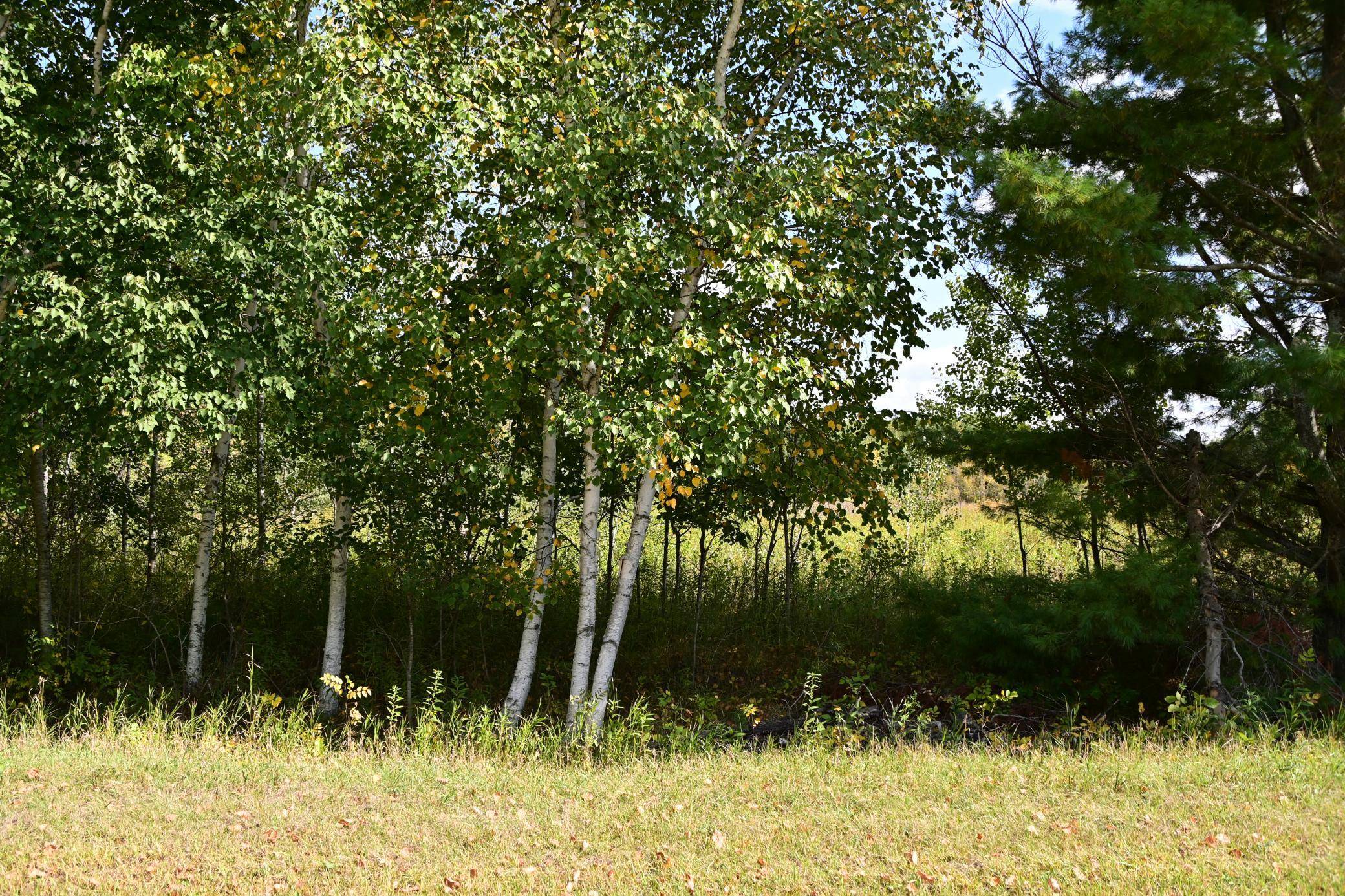 Fawn Lake Twp, MN 56438,Lot 51 Block 12 Poplar Lane