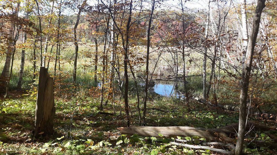 Fawn Lake Twp, MN 56438,Lot 17 Pine Island Pt Dr