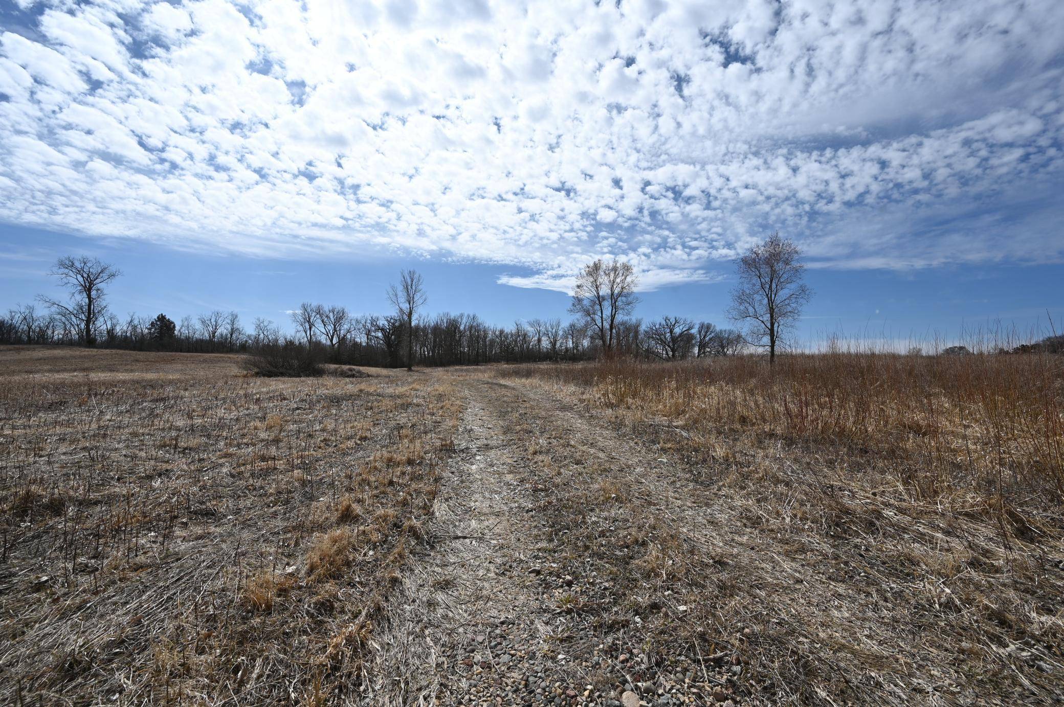 Helena Twp, MN 55352,XXX County Road 64