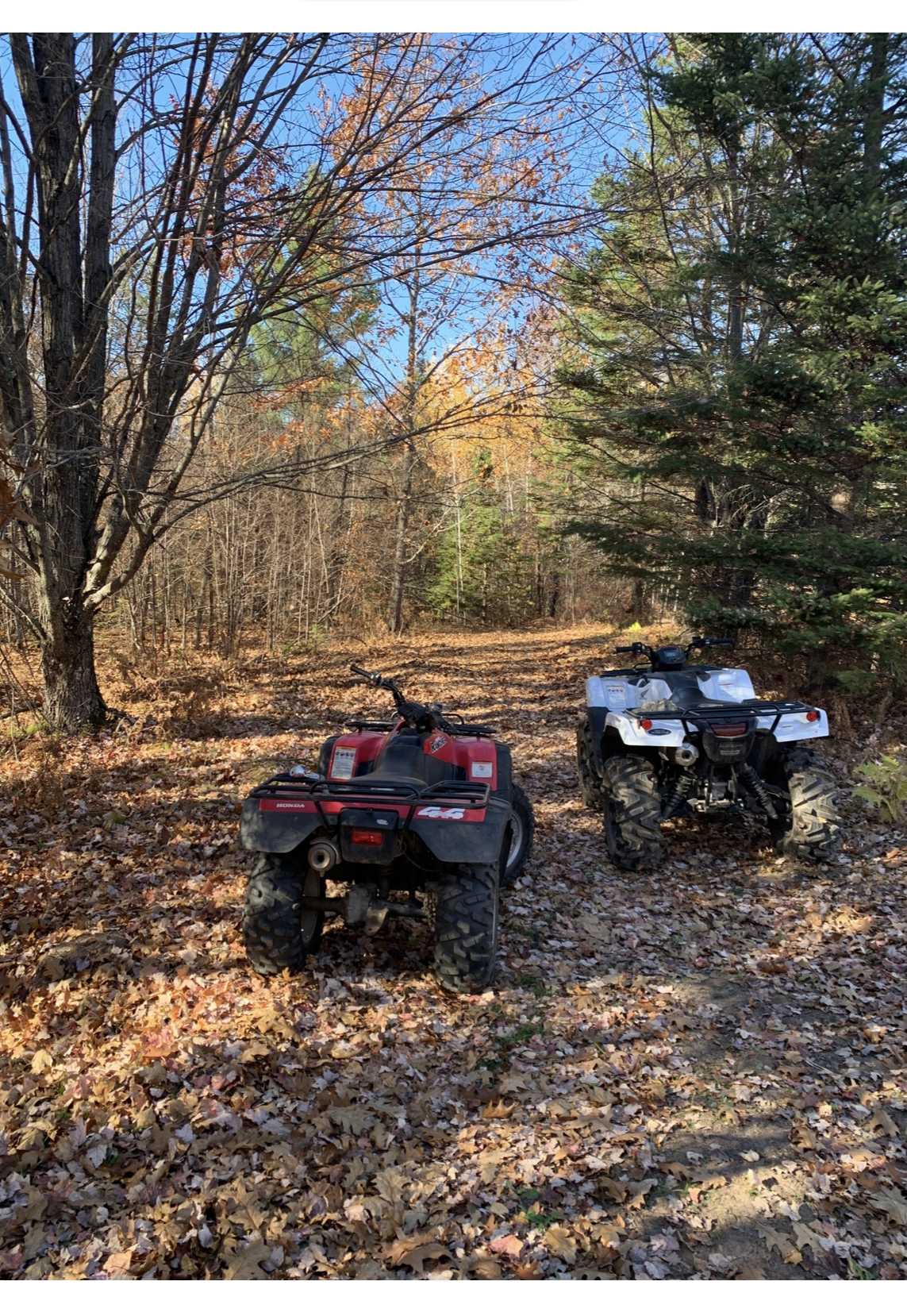 Kerrick, MN 55756,82981 State Highway 23