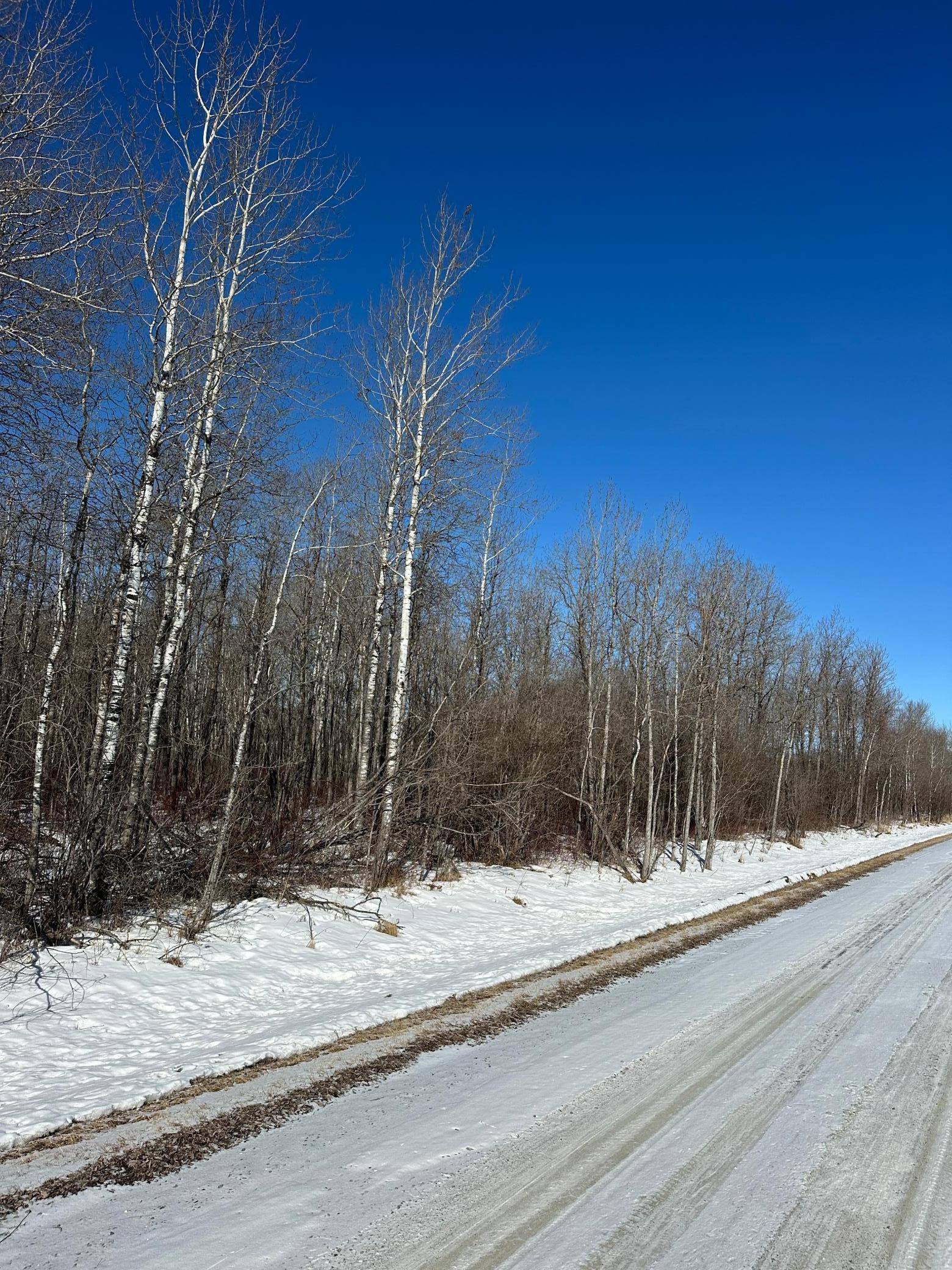 Baudette, MN 56623,TBD 21st AVE SW