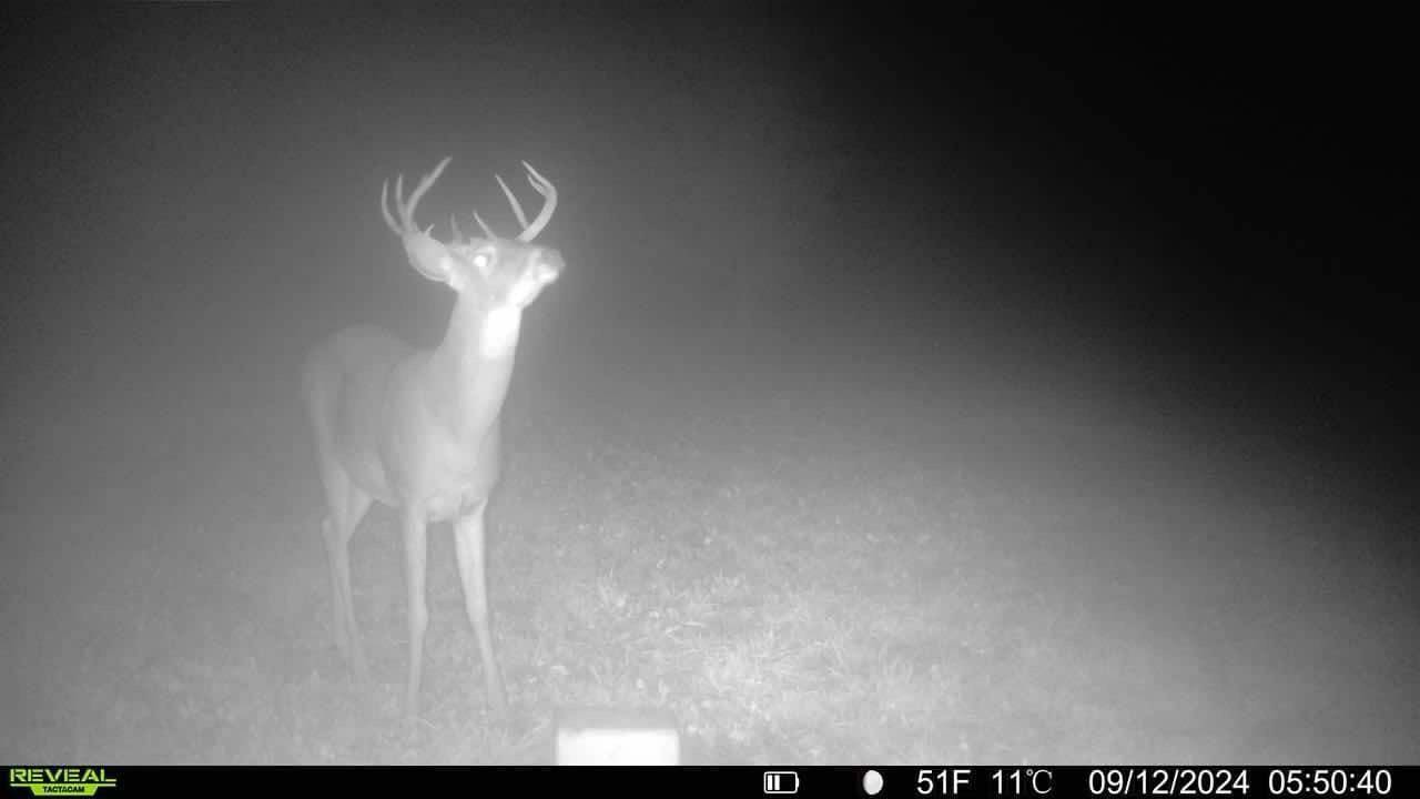 Glenville, MN 56036,XXX 782nd Ave