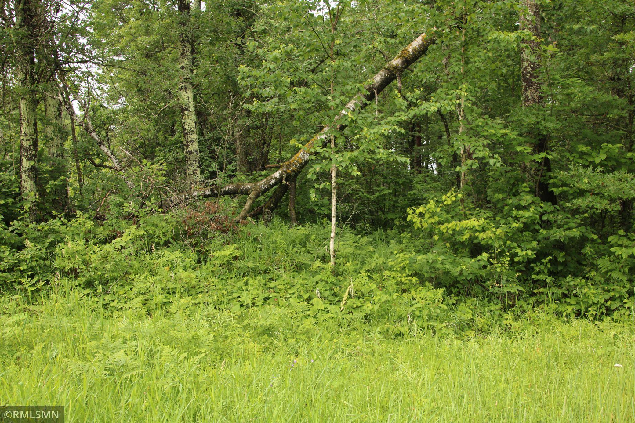 Breezy Point, MN 56472,79xx White Overlook DR