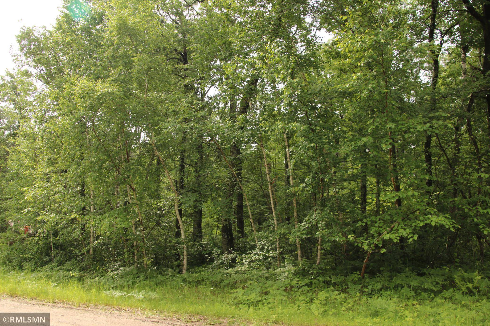 Breezy Point, MN 56472,79xz White Overlook Drive DR