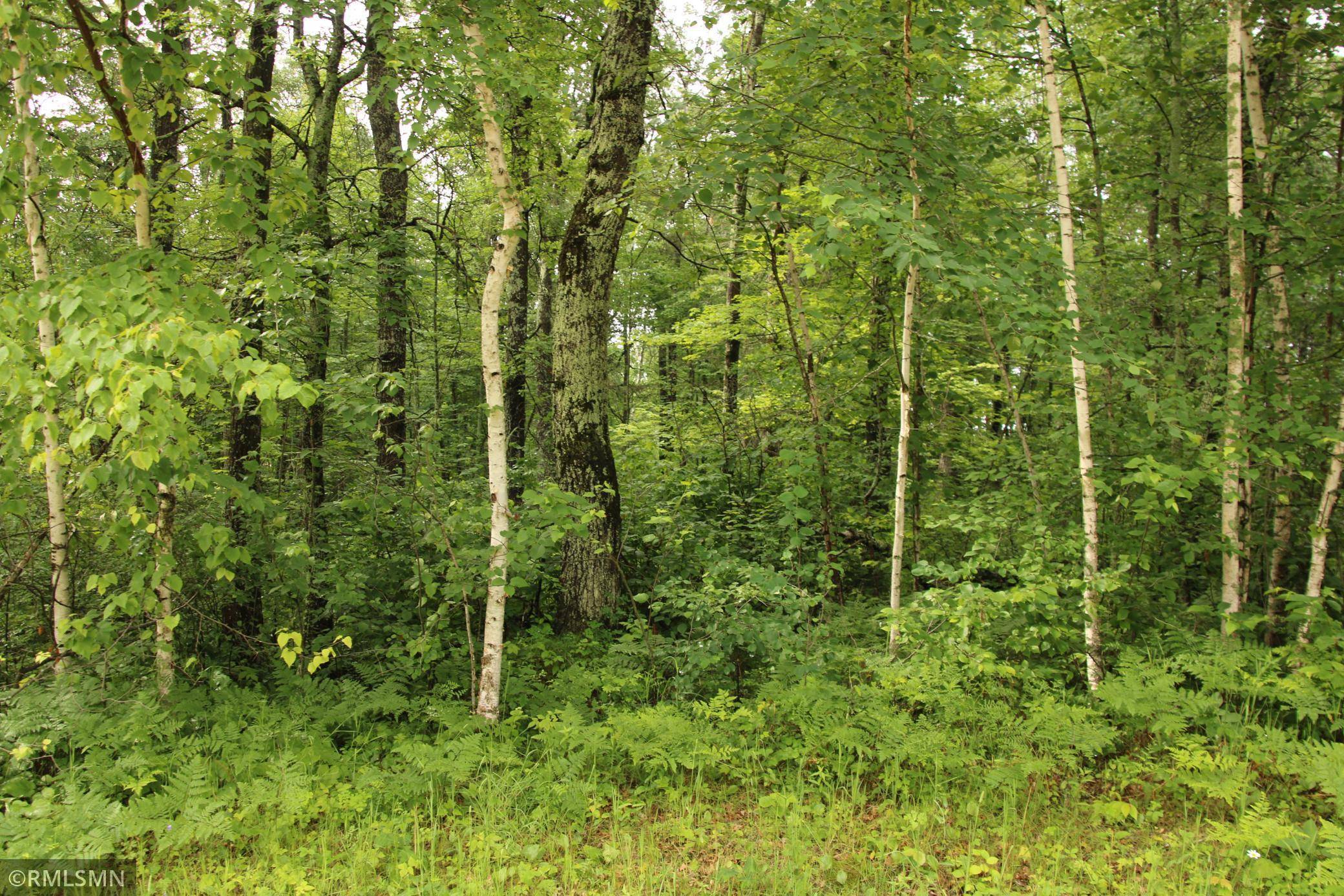 Breezy Point, MN 56472,79xz White Overlook Drive DR