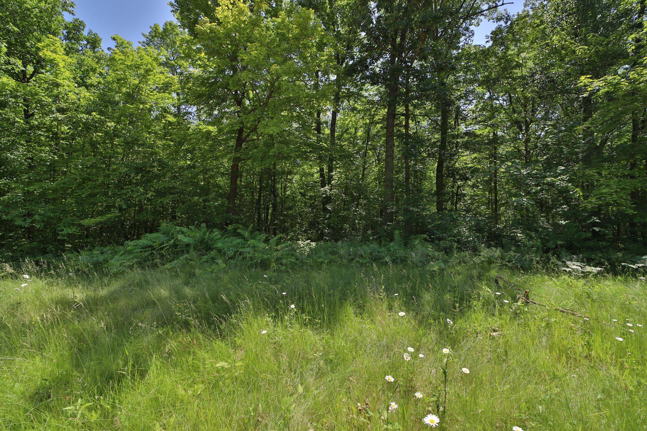 Crosby, MN 56441,Tract D Olander RD