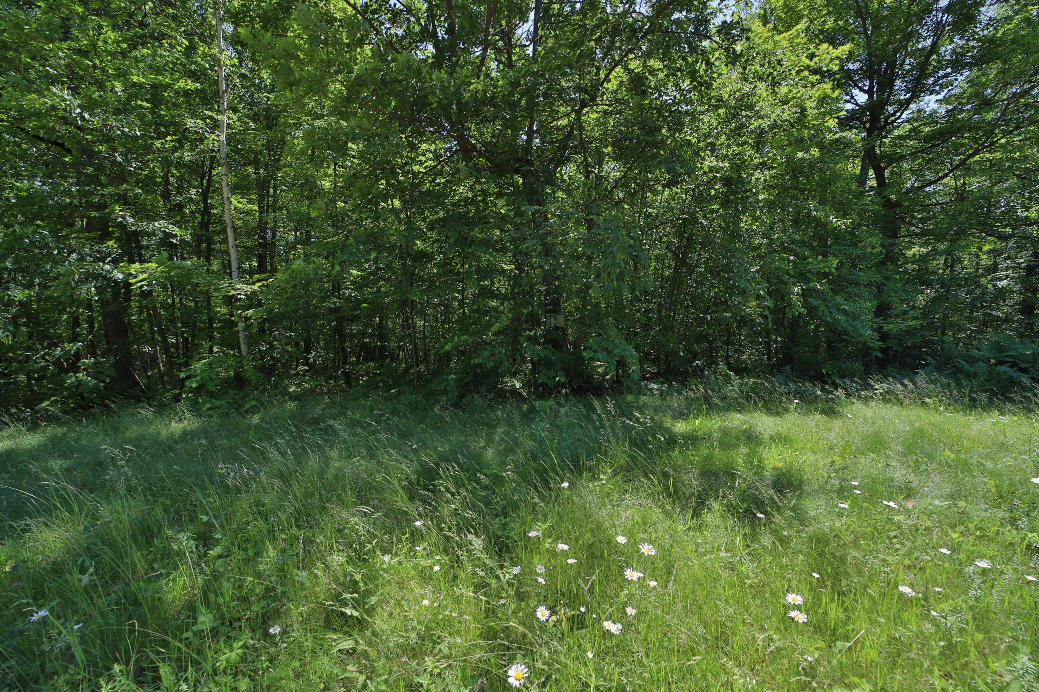 Crosby, MN 56441,Tract D Olander RD