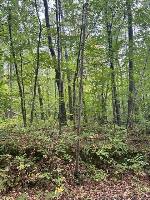 Cushing Twp, MN 56443,xxx Marble Dr