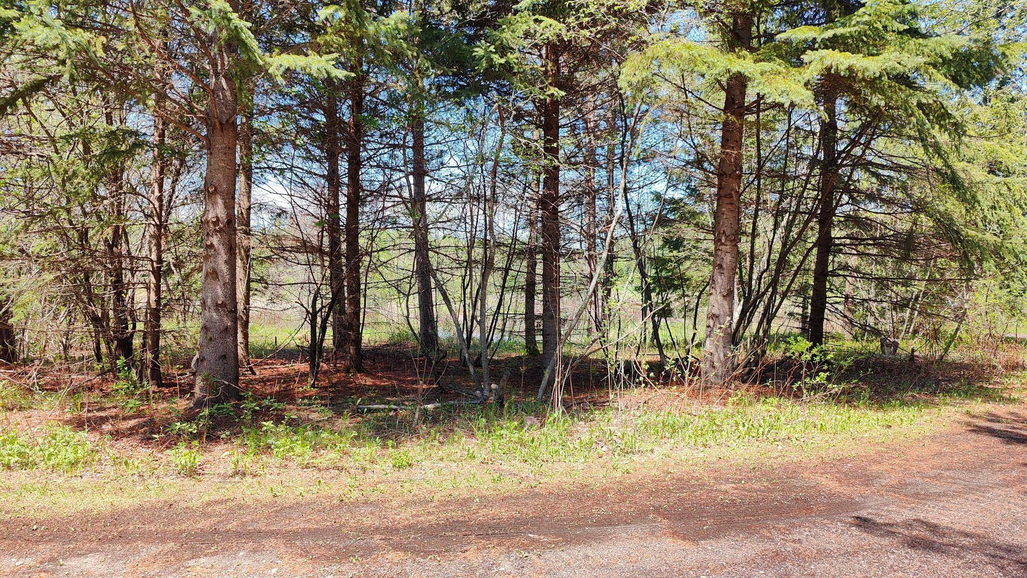 Greenwood Twp, MN 55790,80086 Gruban Circle