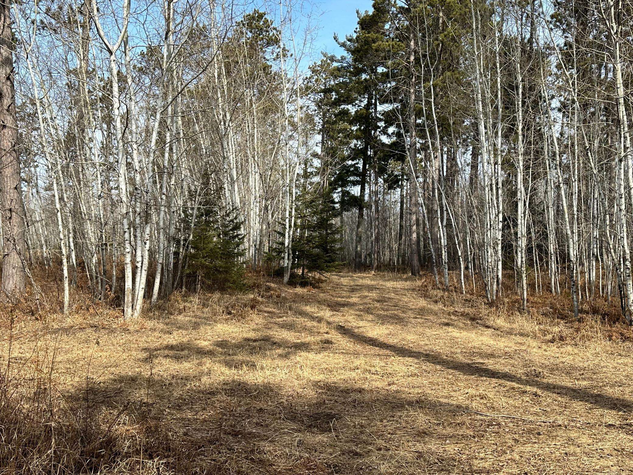 Tenstrike, MN 56683,TBD Nebish RD NE