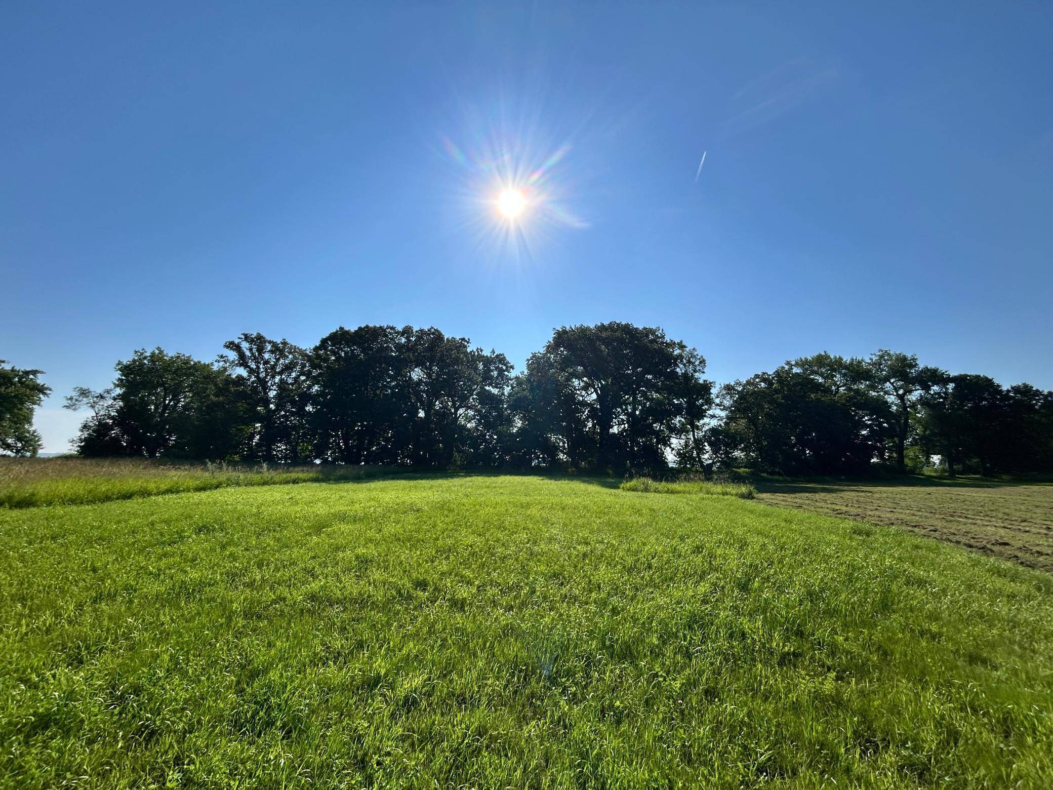 Lake Mary Twp, MN 56308,Lot 7 Hummingbird WAY SW