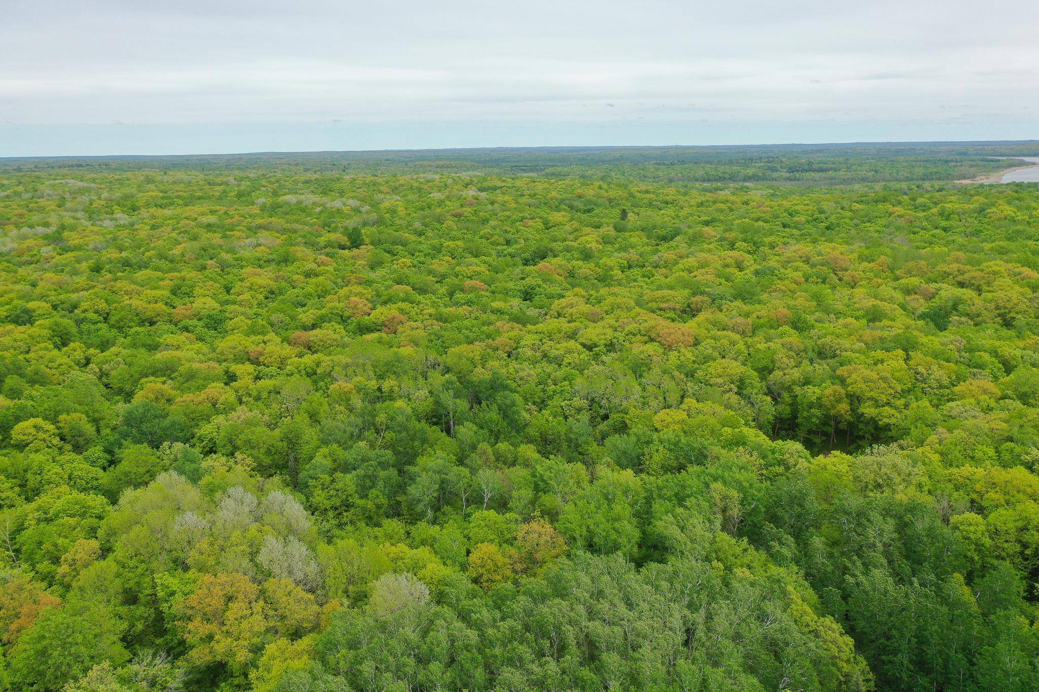 Holmesville Twp, MN 56578,TBD Knopf RD