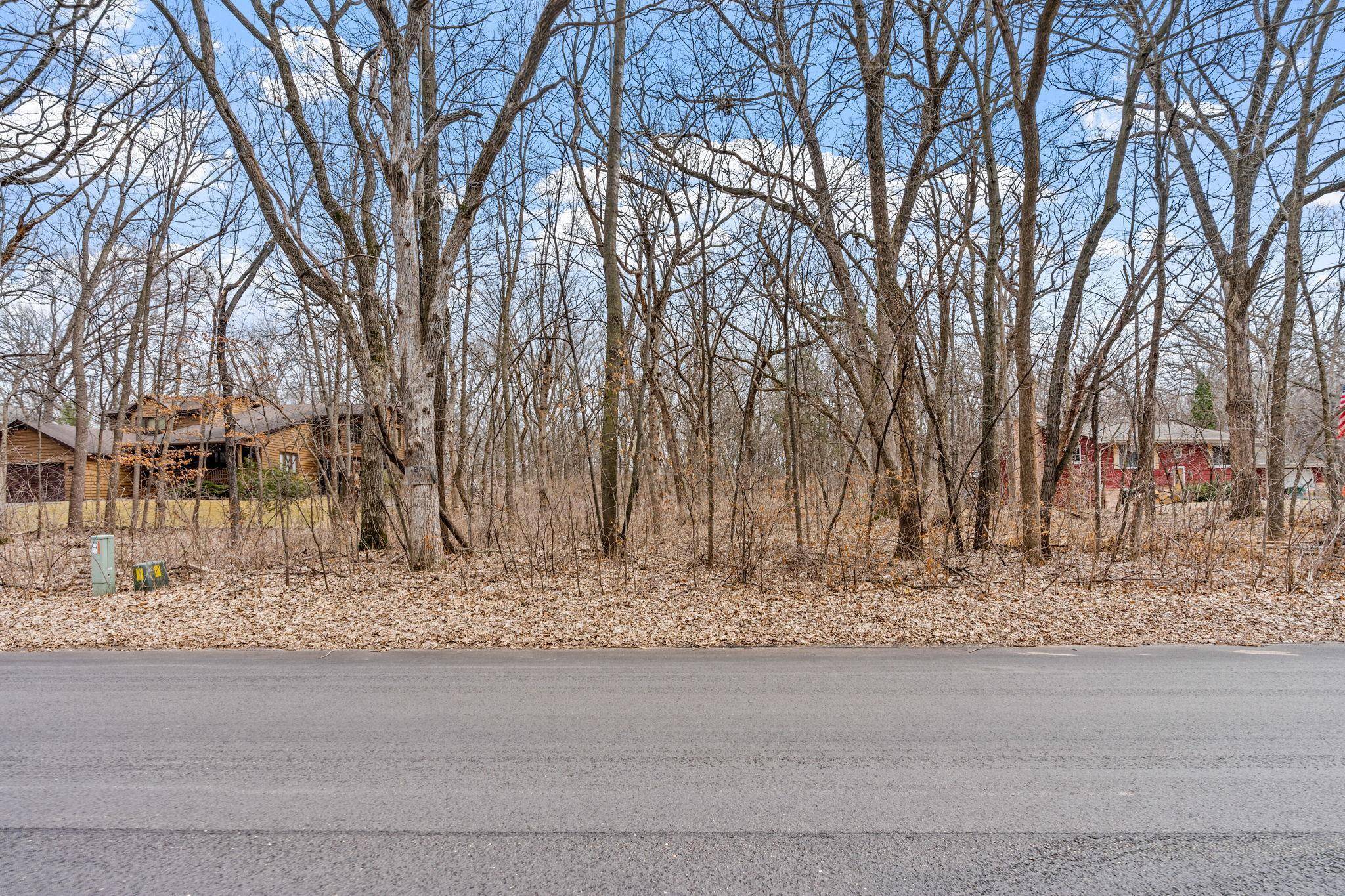 Ramsey, MN 55303,XXXXX Bowers DR NW