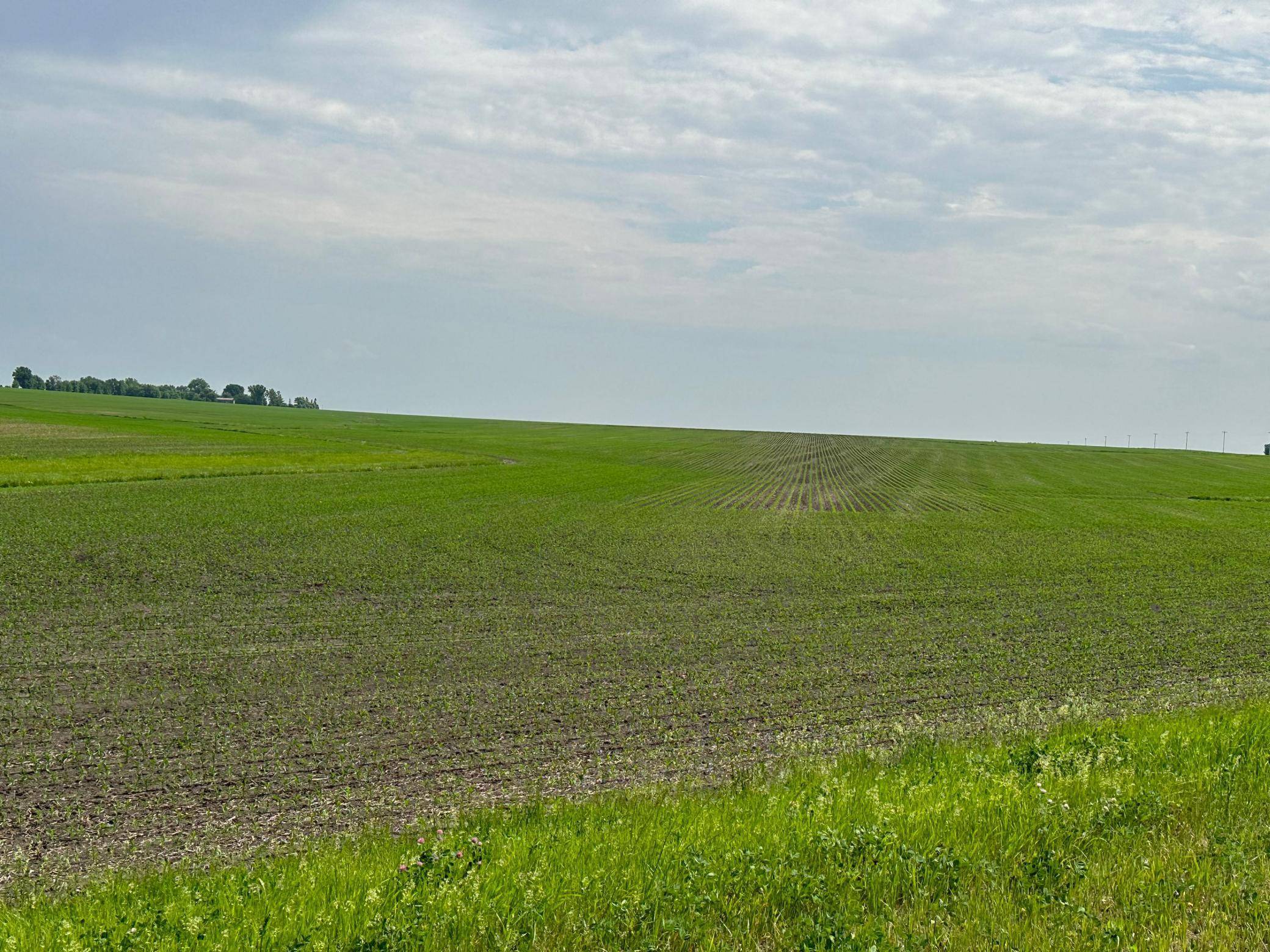 Pleasant Valley Twp, MN 55936,Address not disclosed