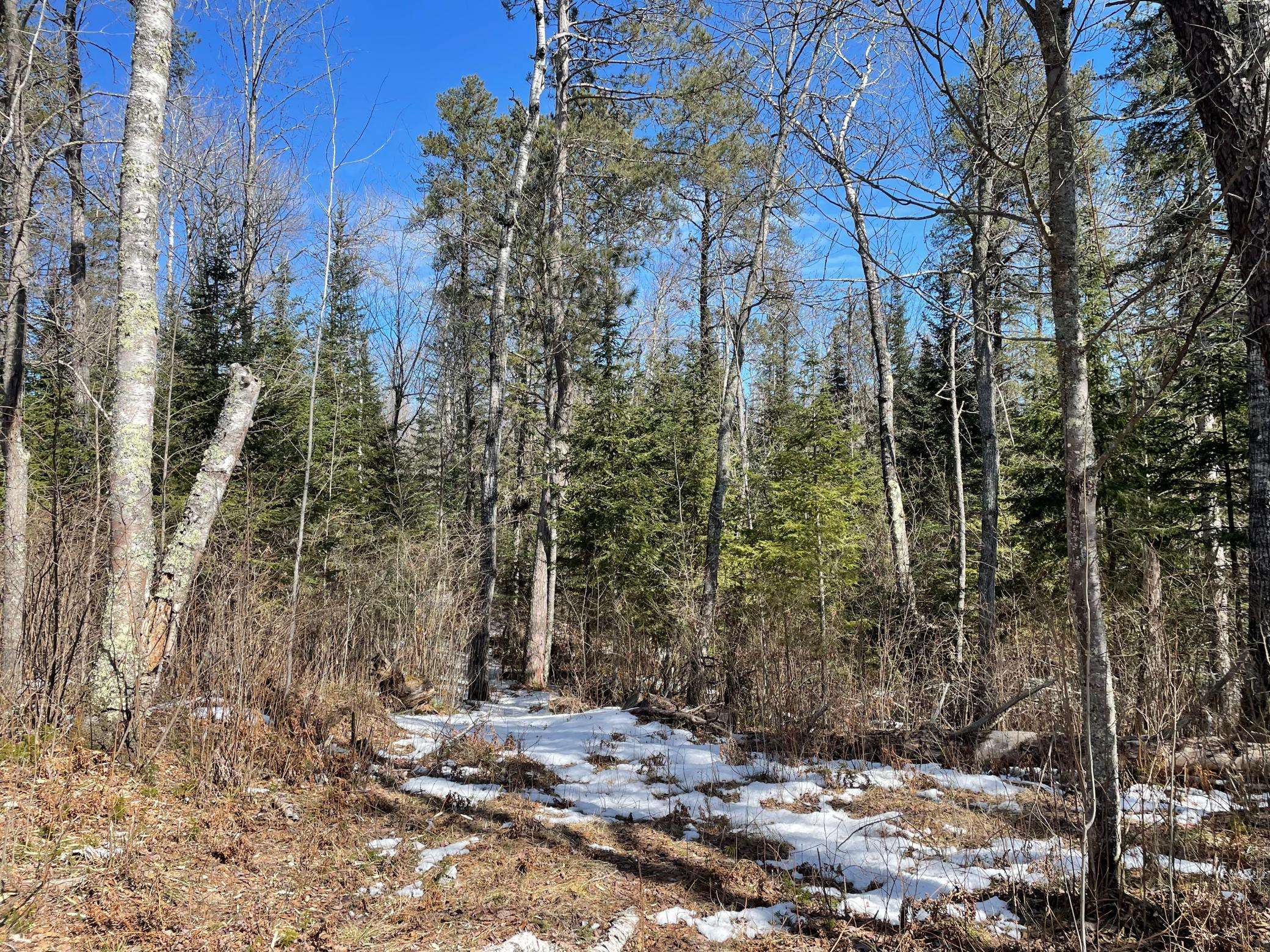 Biwabik, MN 55708,6206 Needleleaf RD