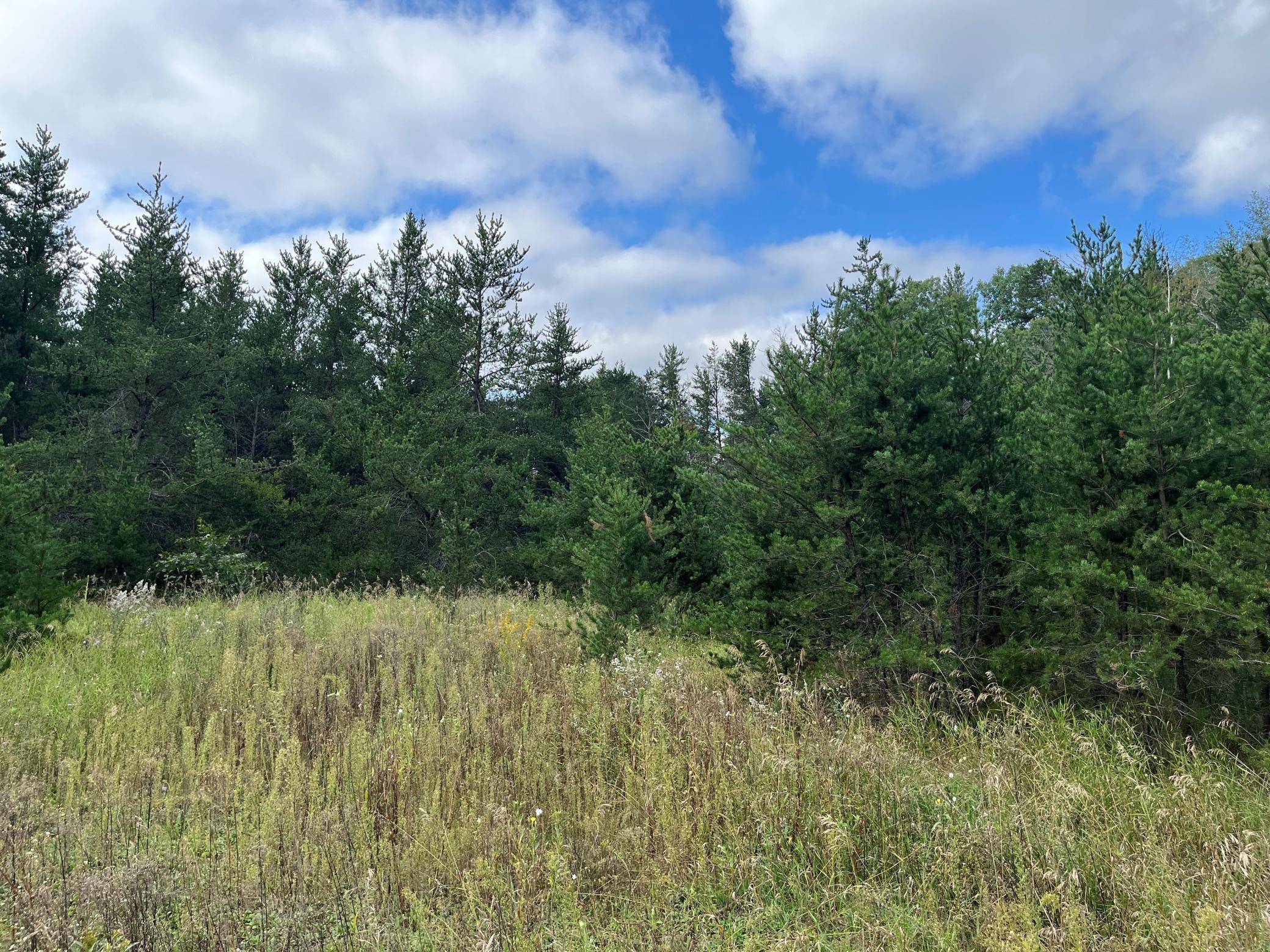 Pine River, MN 56474,1707 Hassman Hill Tract D RD SW