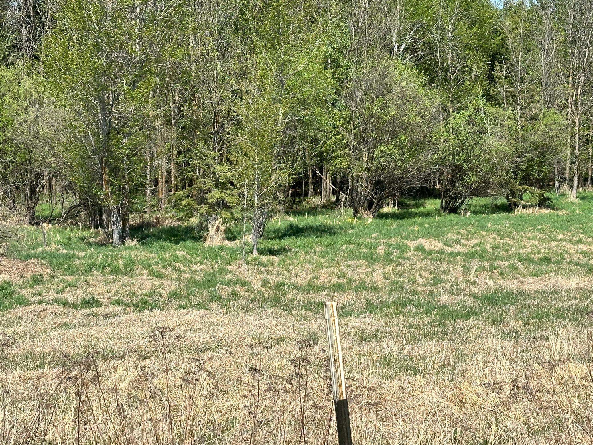 Hines Twp, MN 56630,26469 Highway 72 NE