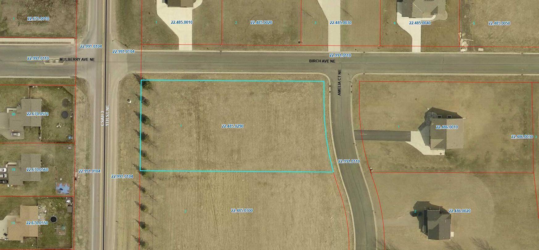 Montgomery, MN 56069,919 Amelia CT NE