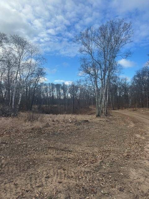 Crosslake, MN 56442,L7B1 Shady LN
