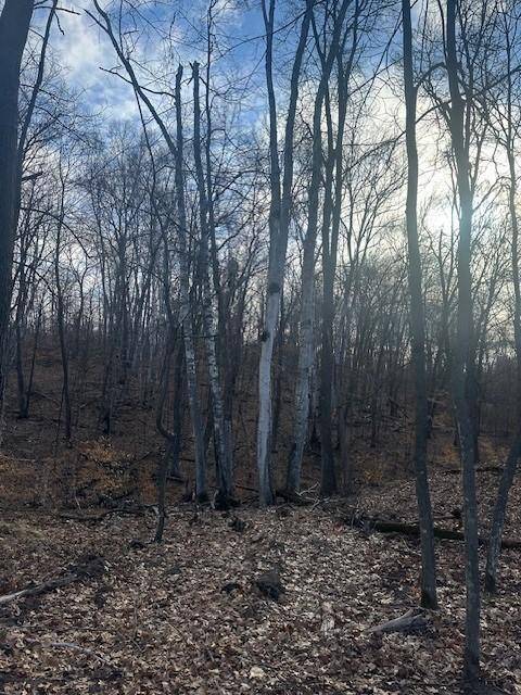 Crosslake, MN 56442,L3B2 Wilderness Pkwy