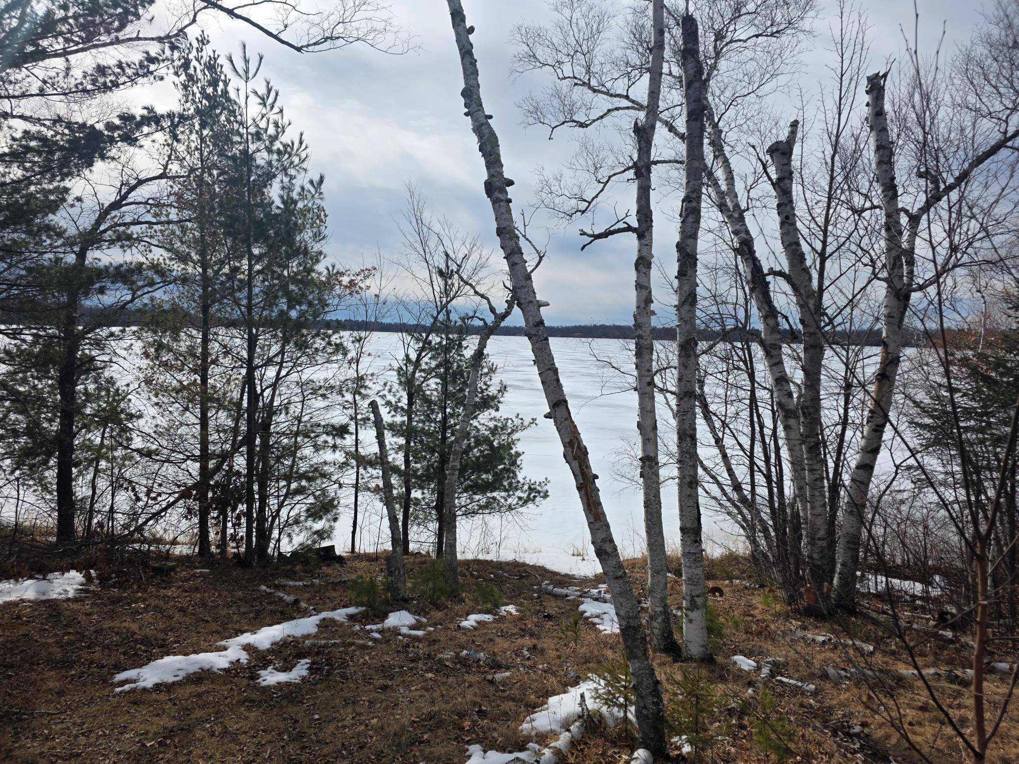 Cass Lake, MN 56633,TBD Andrusia RD SE