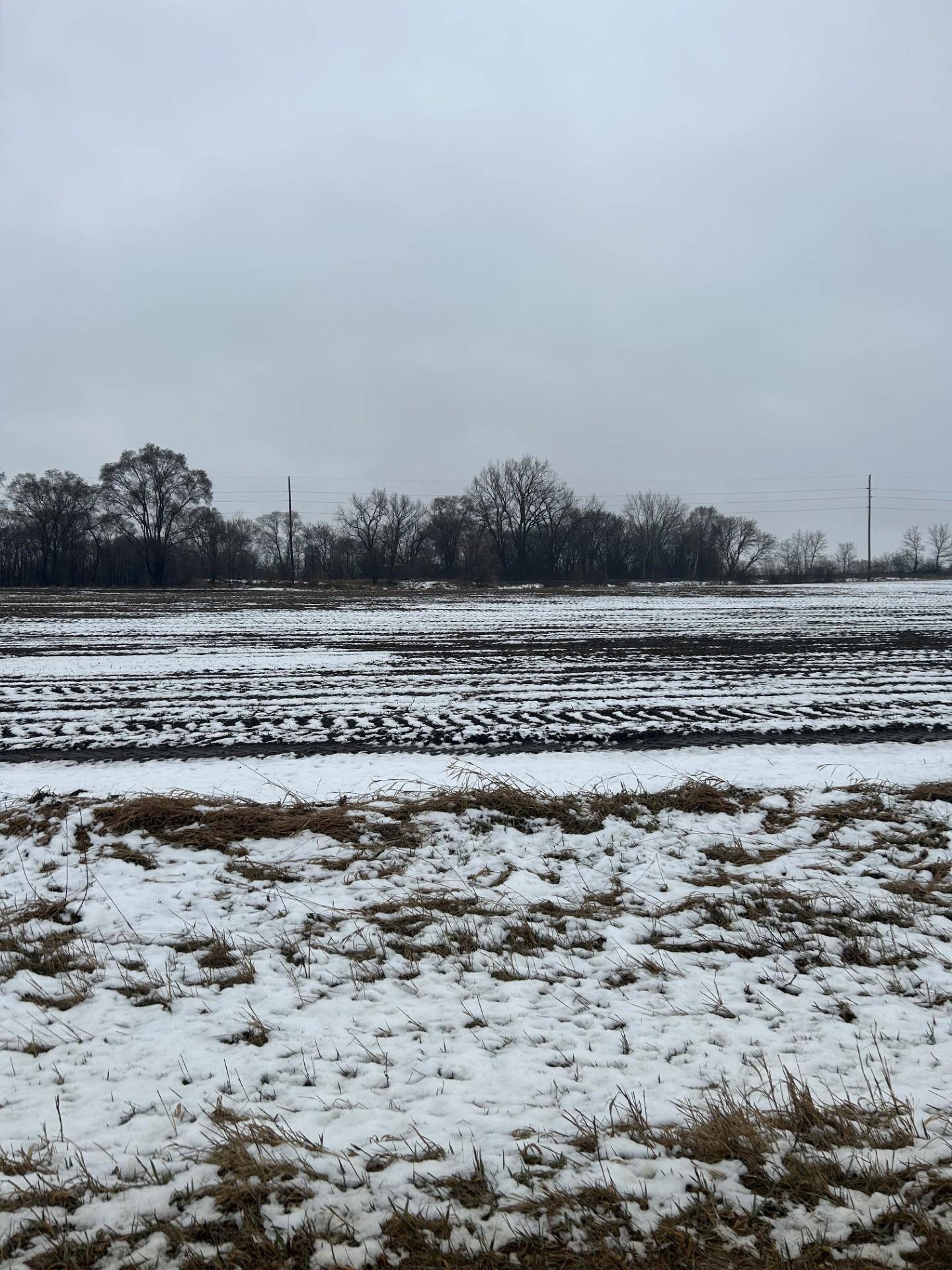 Sciota Twp, MN 55065,Lot 2 Block 1 Cannon River Blvd