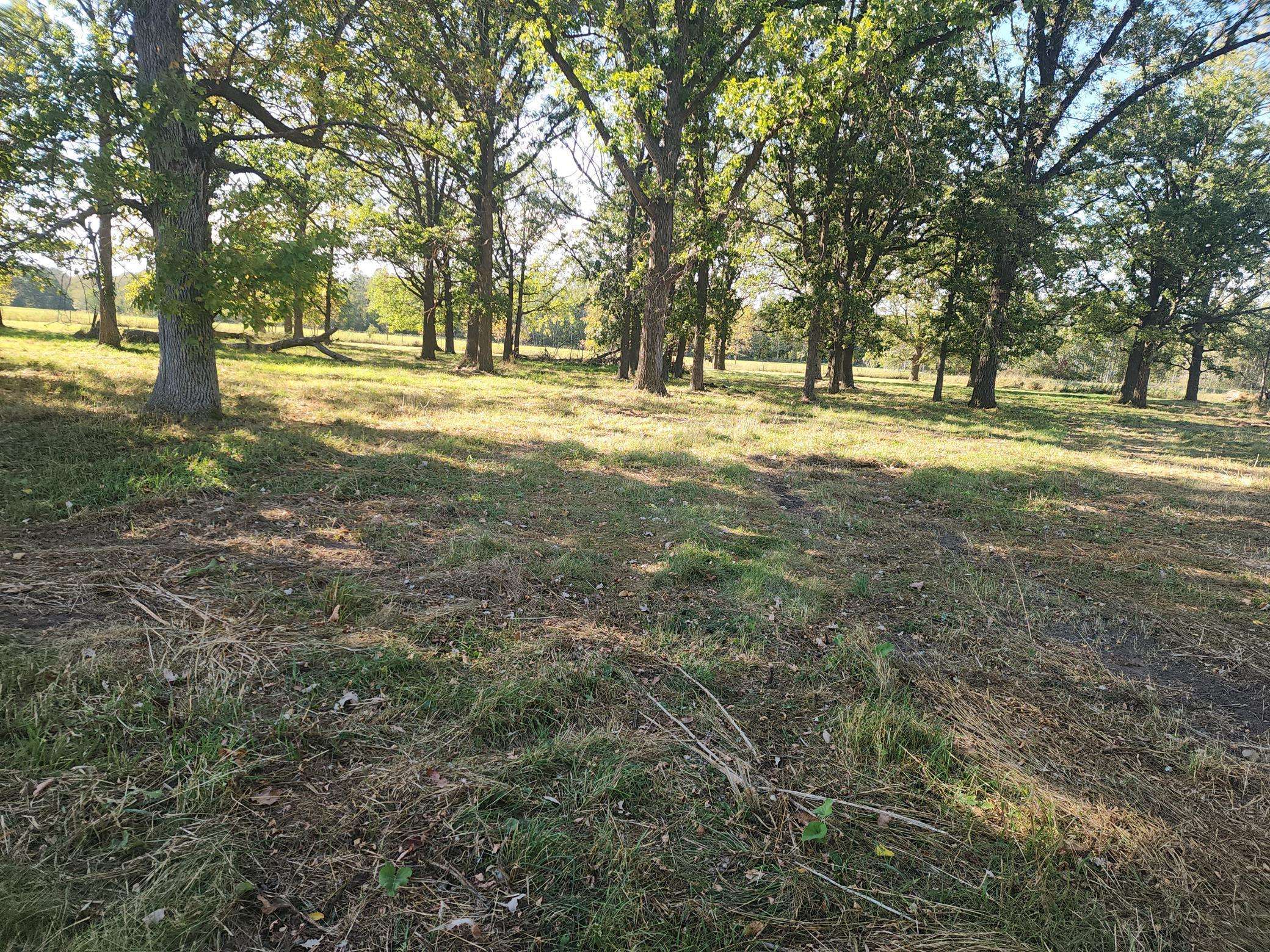 Leaf River Twp, MN 56482,12186 190th ST