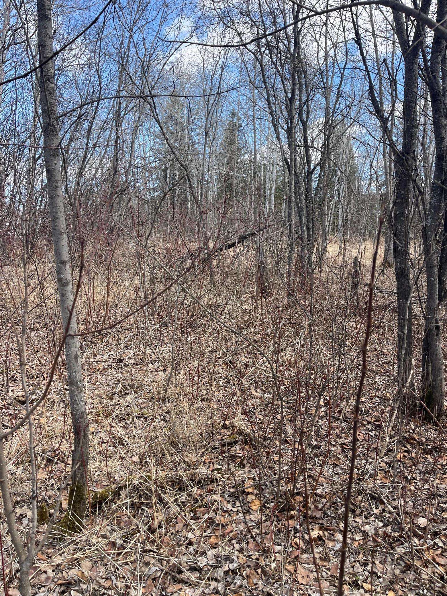 Mountain Iron, MN 55768,87XX Arbor LN
