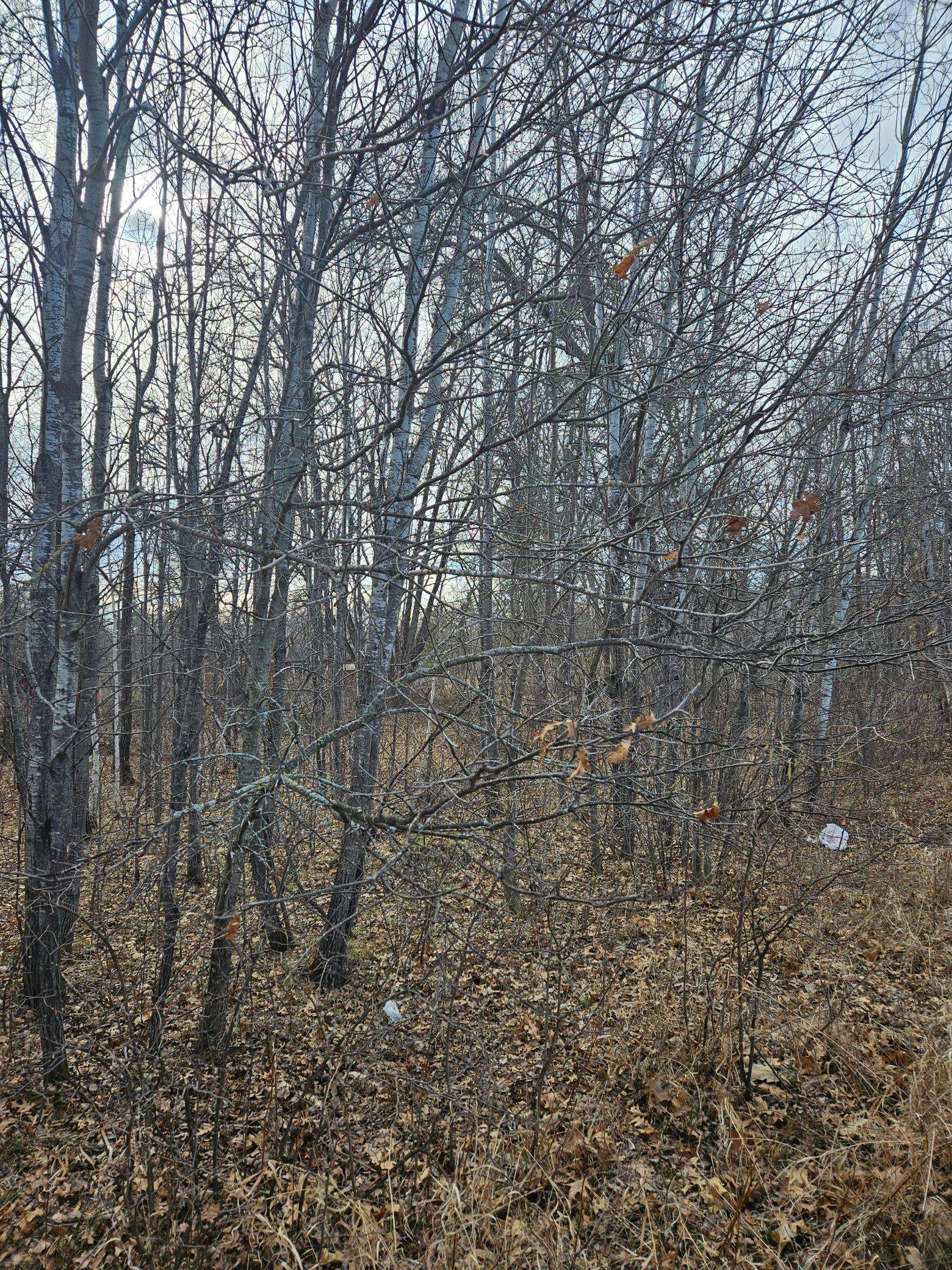 Baxter, MN 56425,Lot 8 Honeysuckle WAY