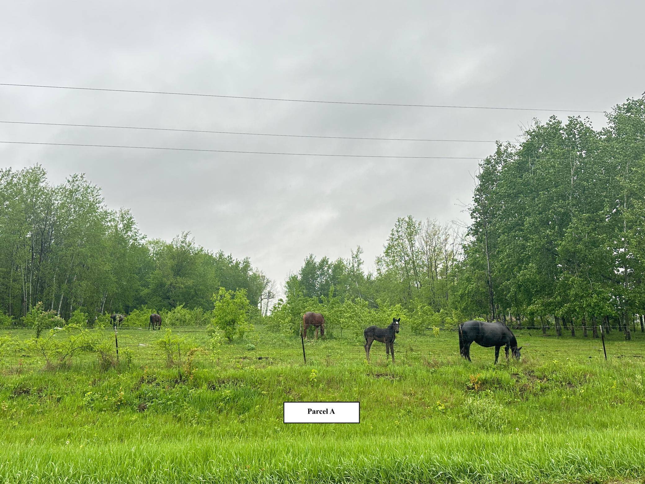 Wadena, MN 56482,XXXX 440th ST