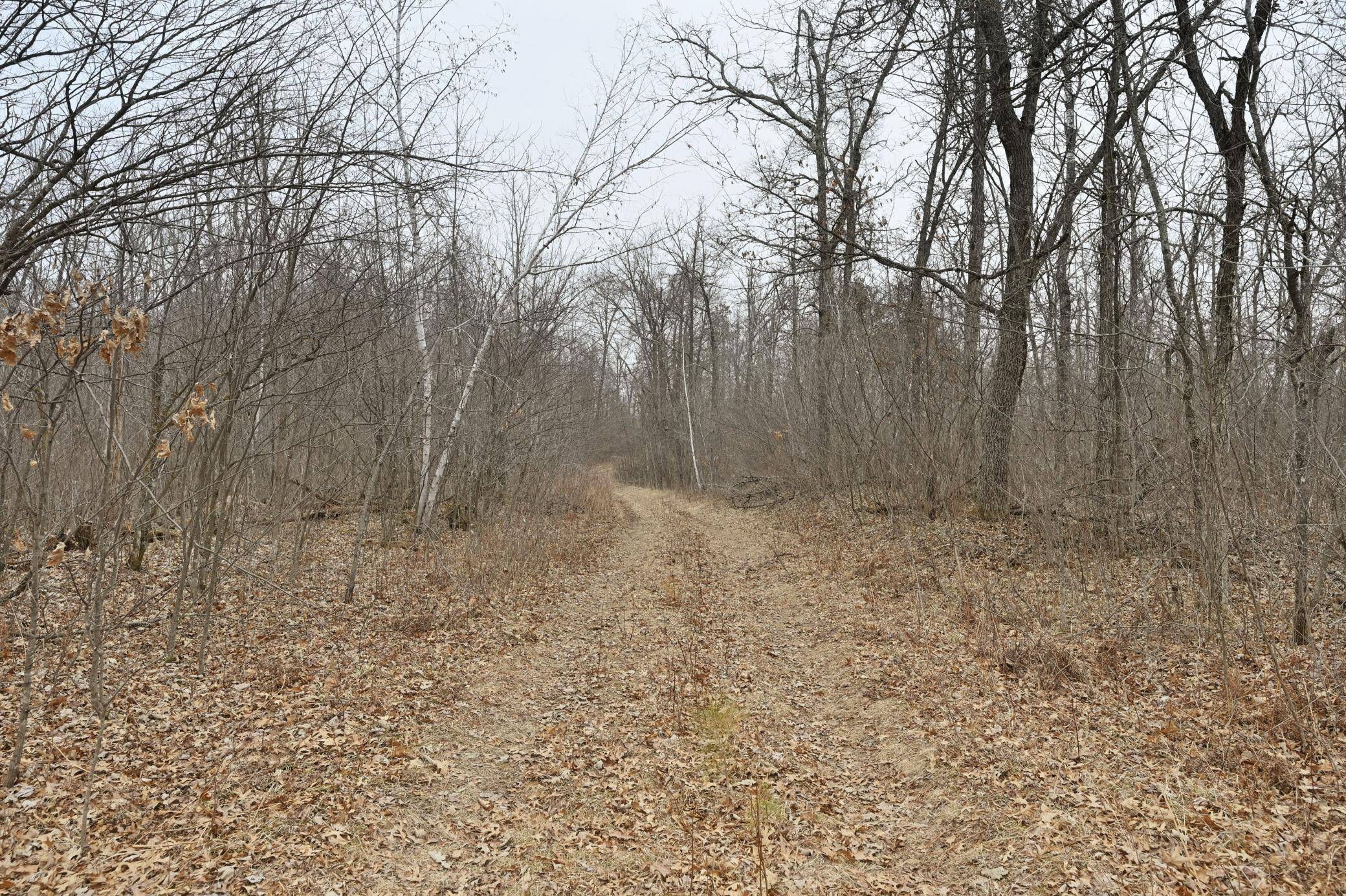 Danbury, WI 54830,Lot 5 and Lot 11 Kelly LN
