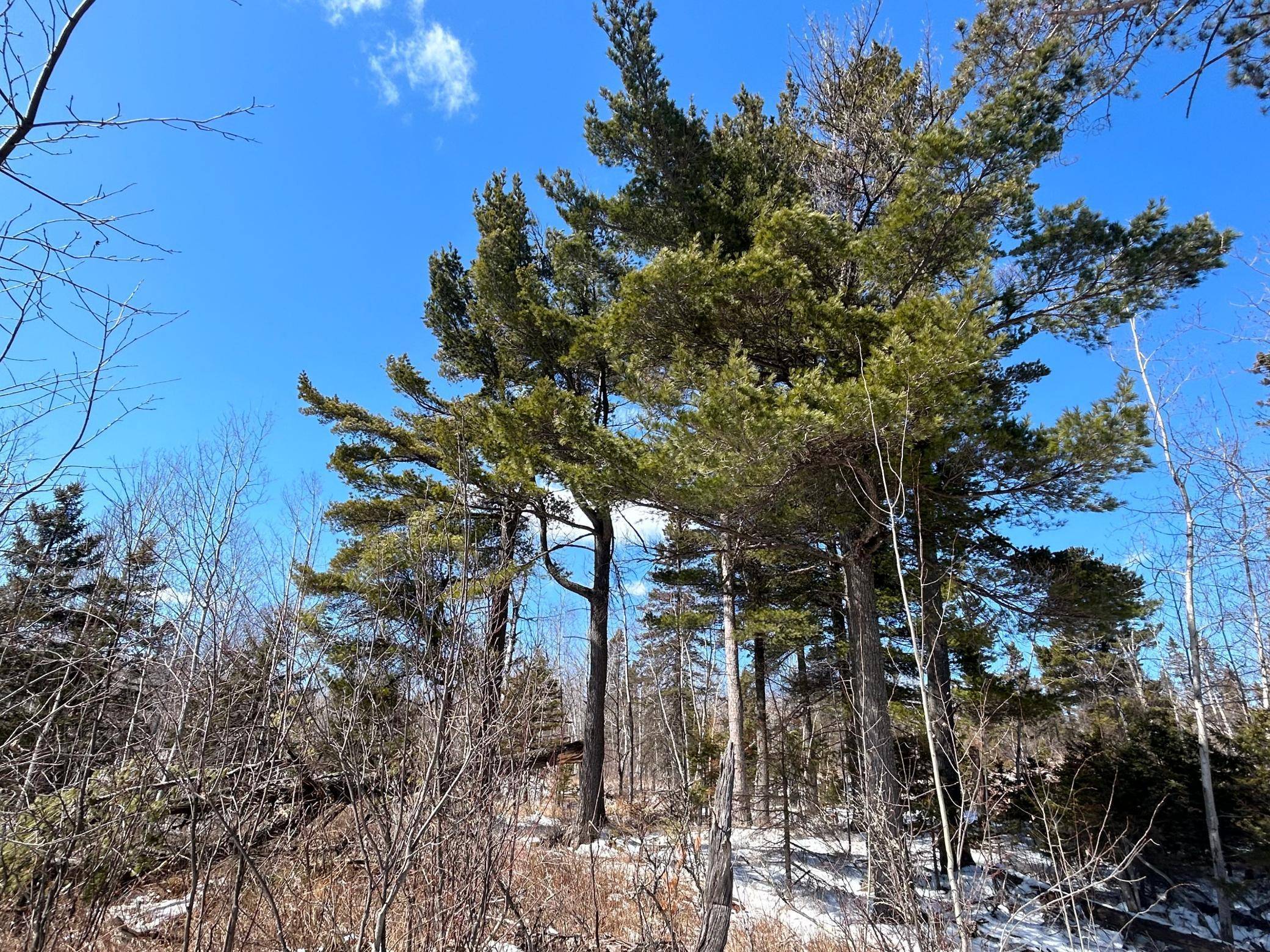 Beaver Bay, MN 55601,4375 Wood Ridge DR