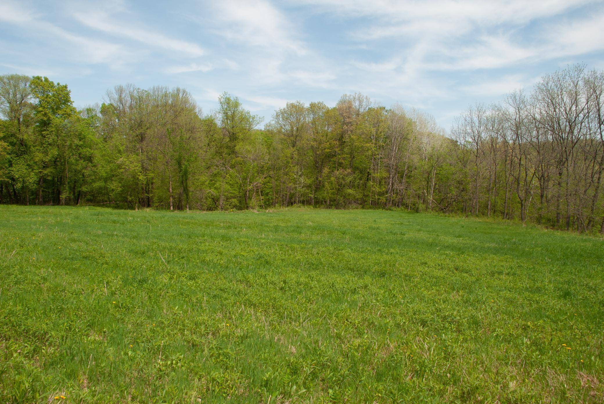 Millville, MN 55041,TBD 299TH