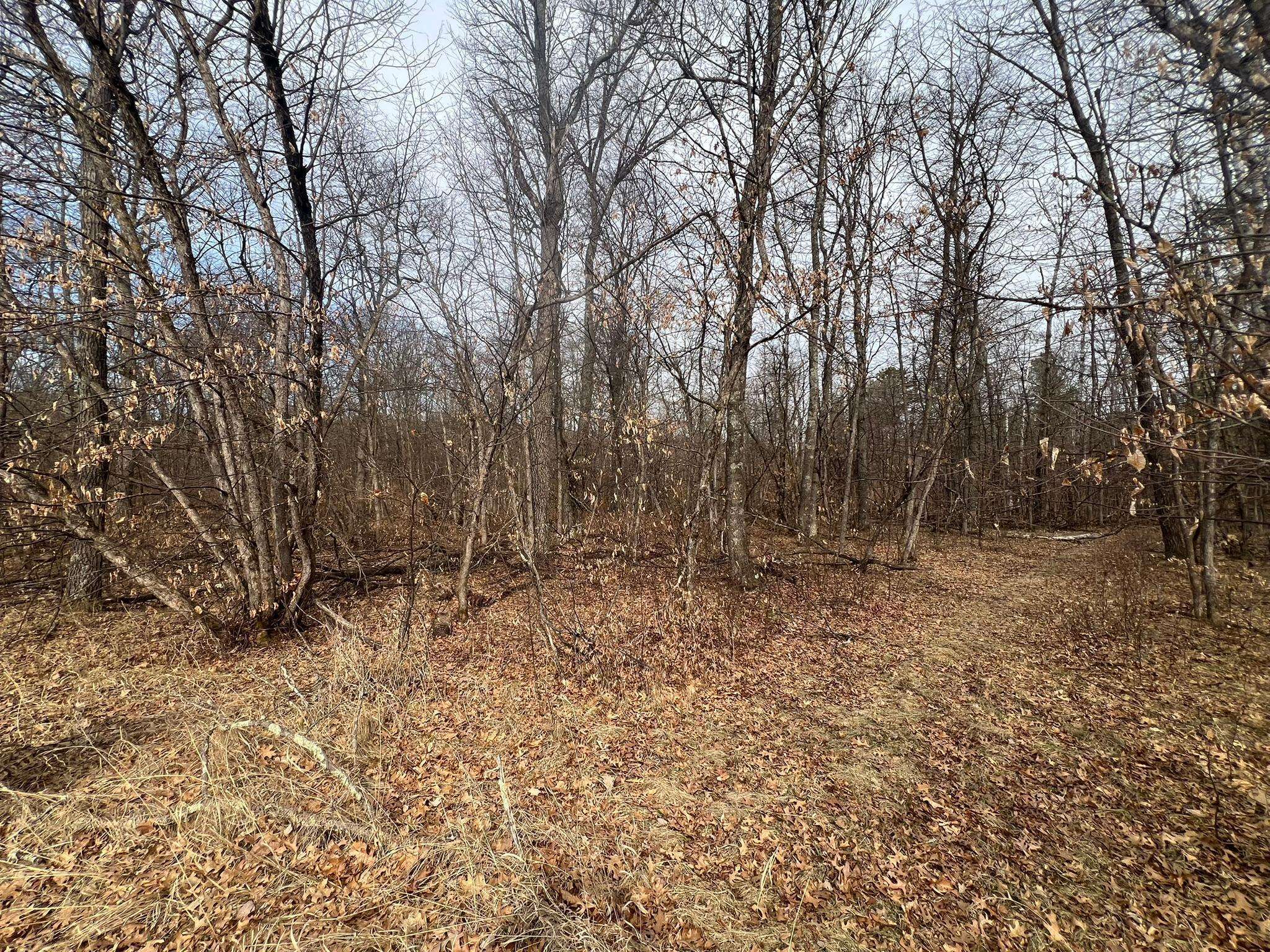 Pillager, MN 56473,Lot 10,Blk 1 Vista Oaks DR