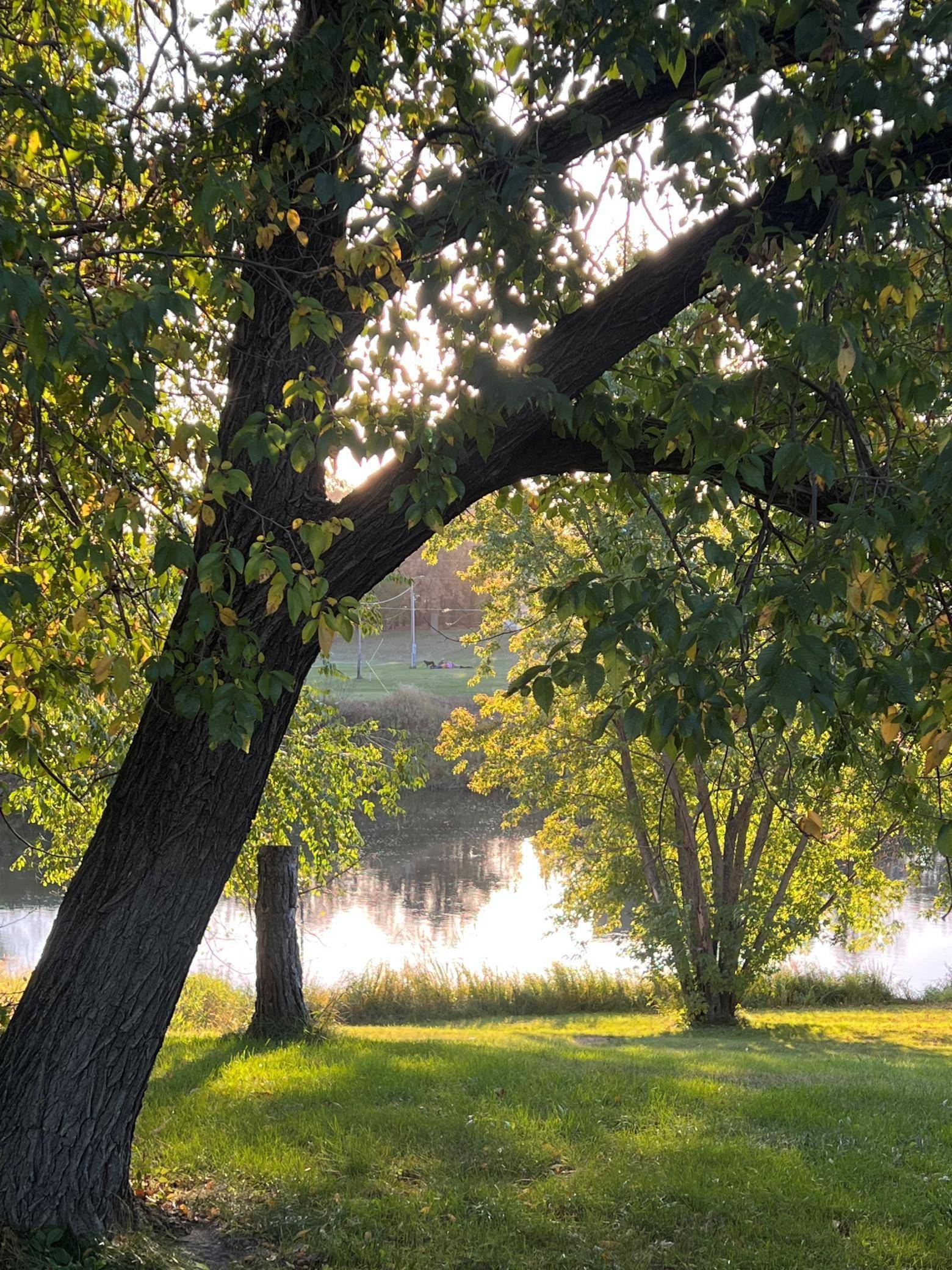 Rocksbury Twp, MN 56701,14199 Riverbend TRL