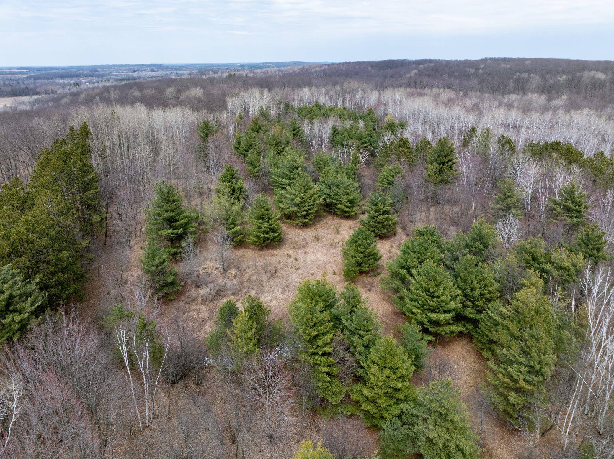 Shell Lake, WI 54871,1684 Hilltop RD