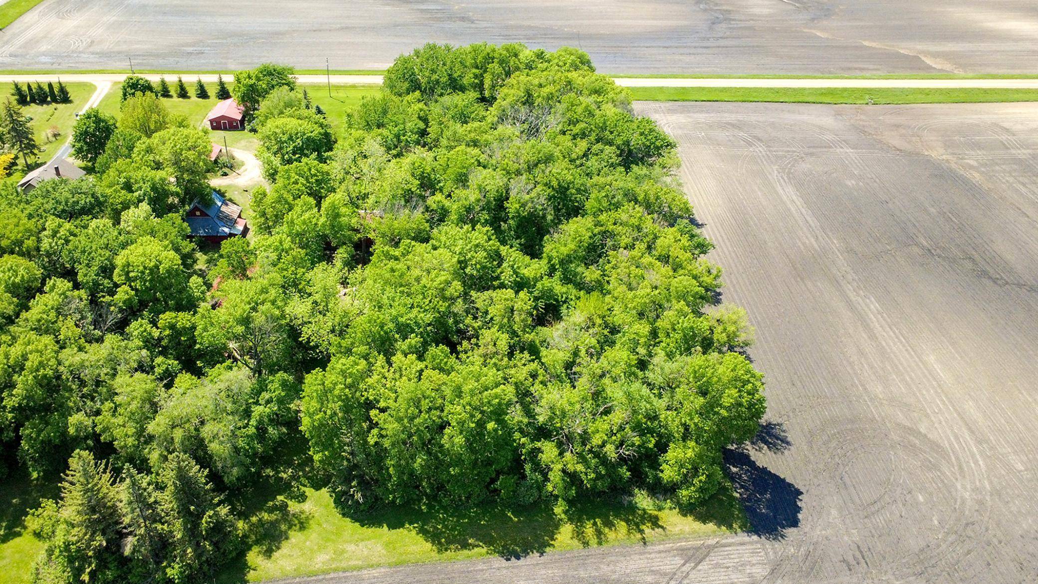 Hutchinson, MN 55350,000 160th ST