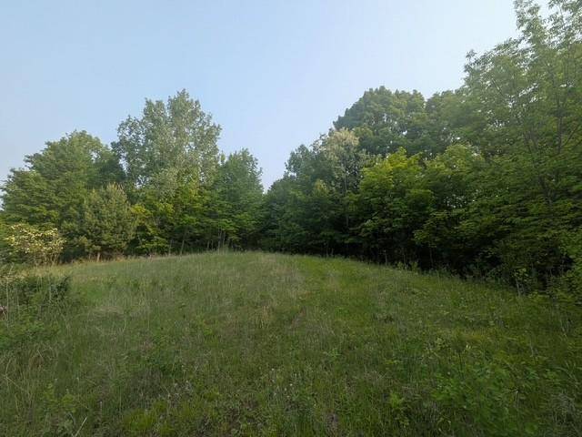 Turtle Lake, WI 54889,870 Cattail WAY