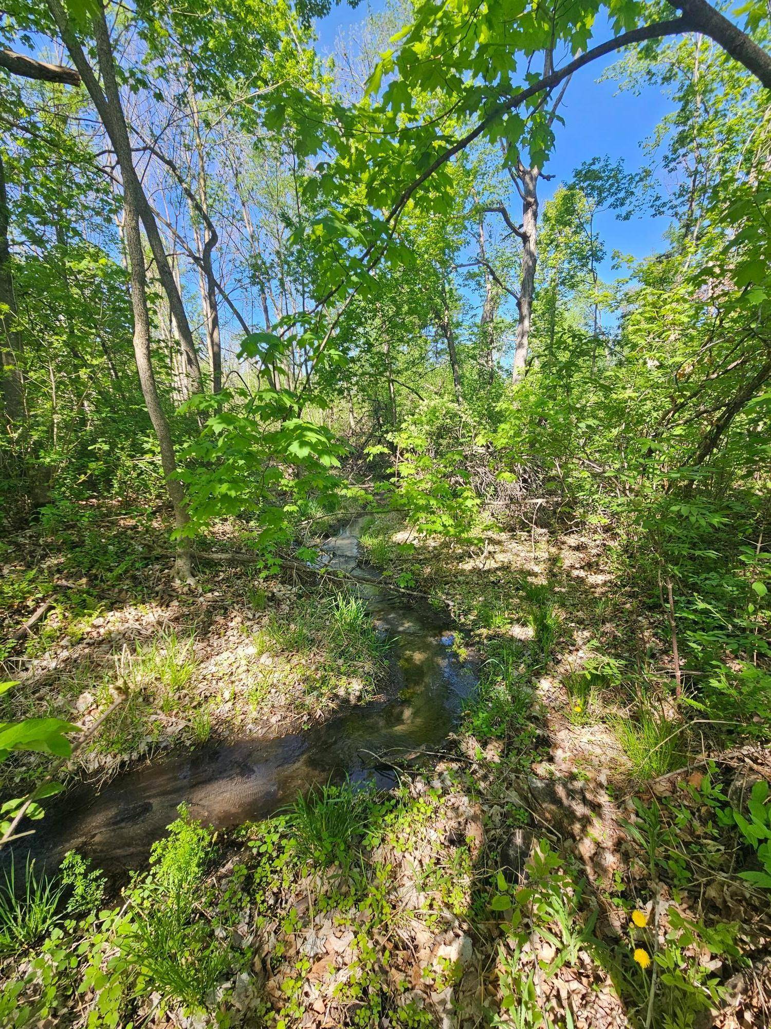 Melrose, MN 56336,TBD Birch Crest RD