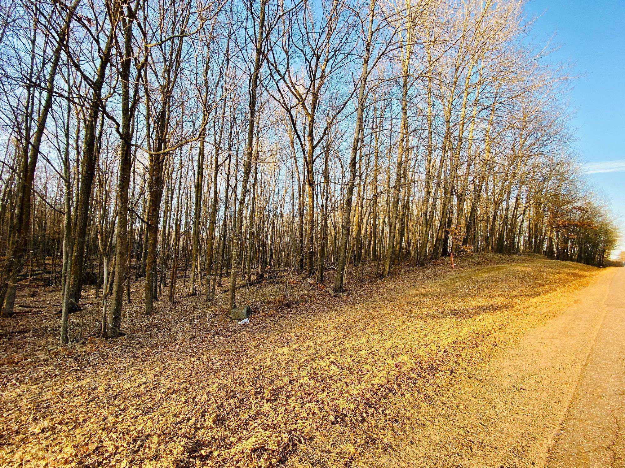 Long Lake Twp, WI 54870,0 Hwy D