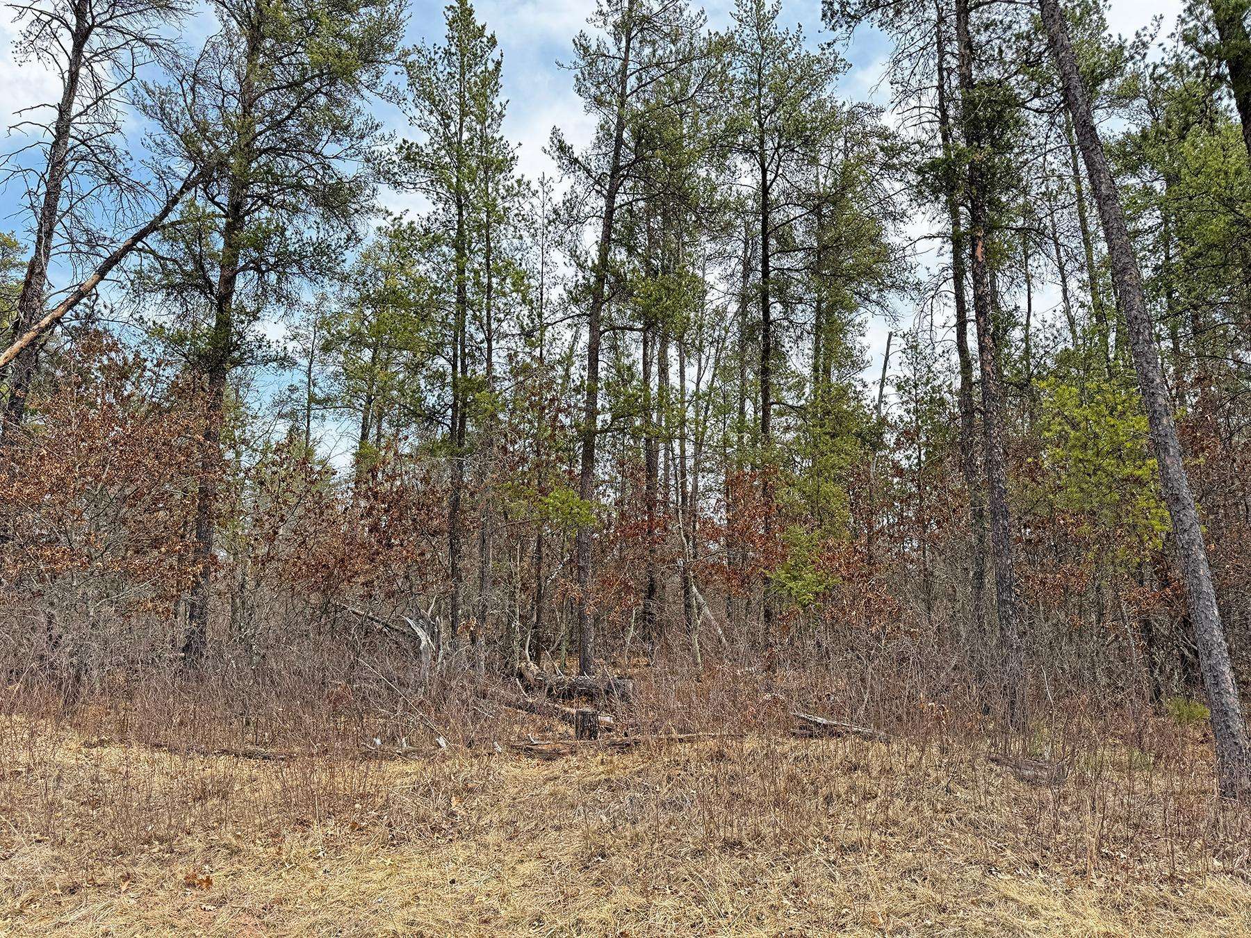Minong, WI 54859,XXX Lot 20 Middle RD