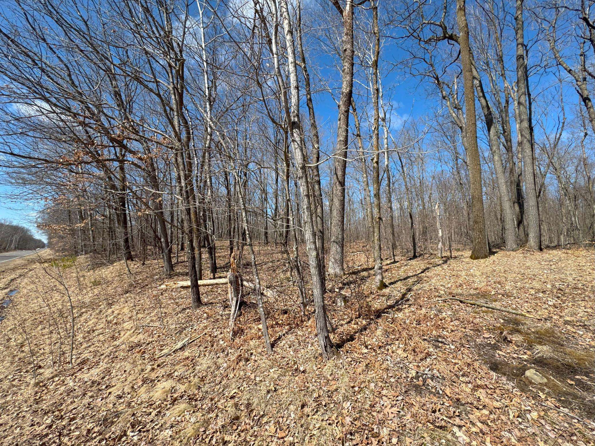 Lorain Twp, WI 54837,xxx 300th Ave County Rd W W